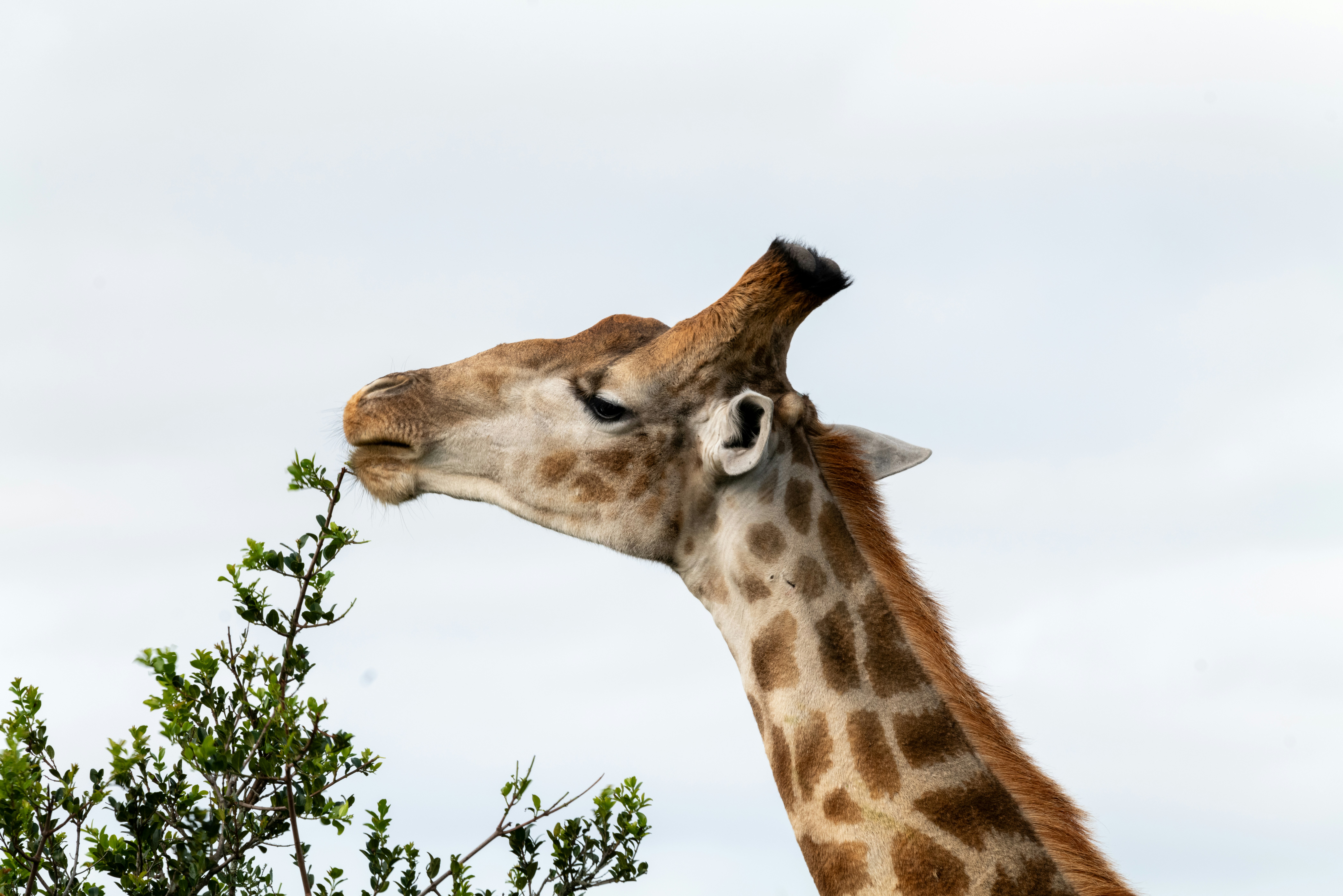 Photo by mwesselmann