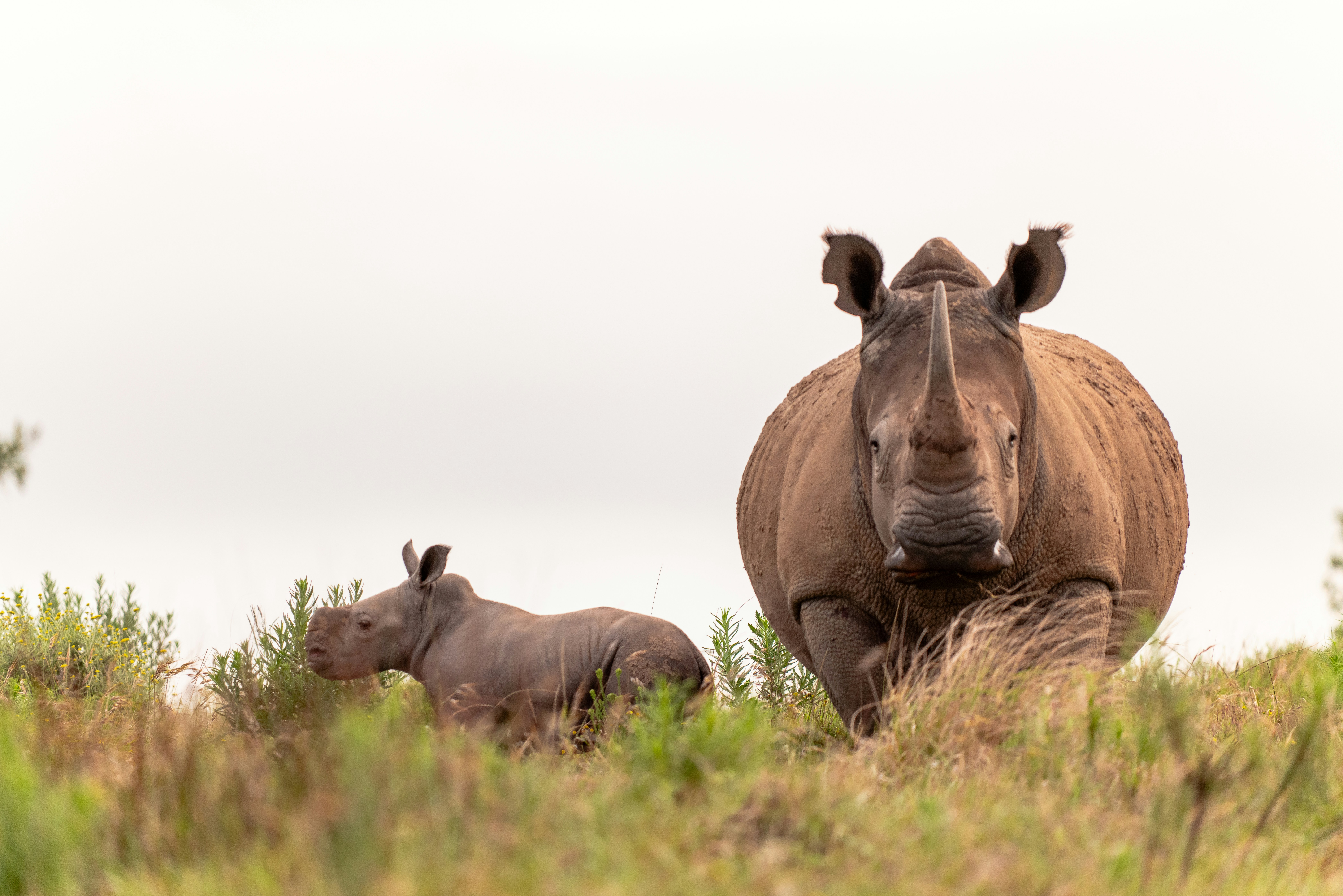 Photo by mwesselmann