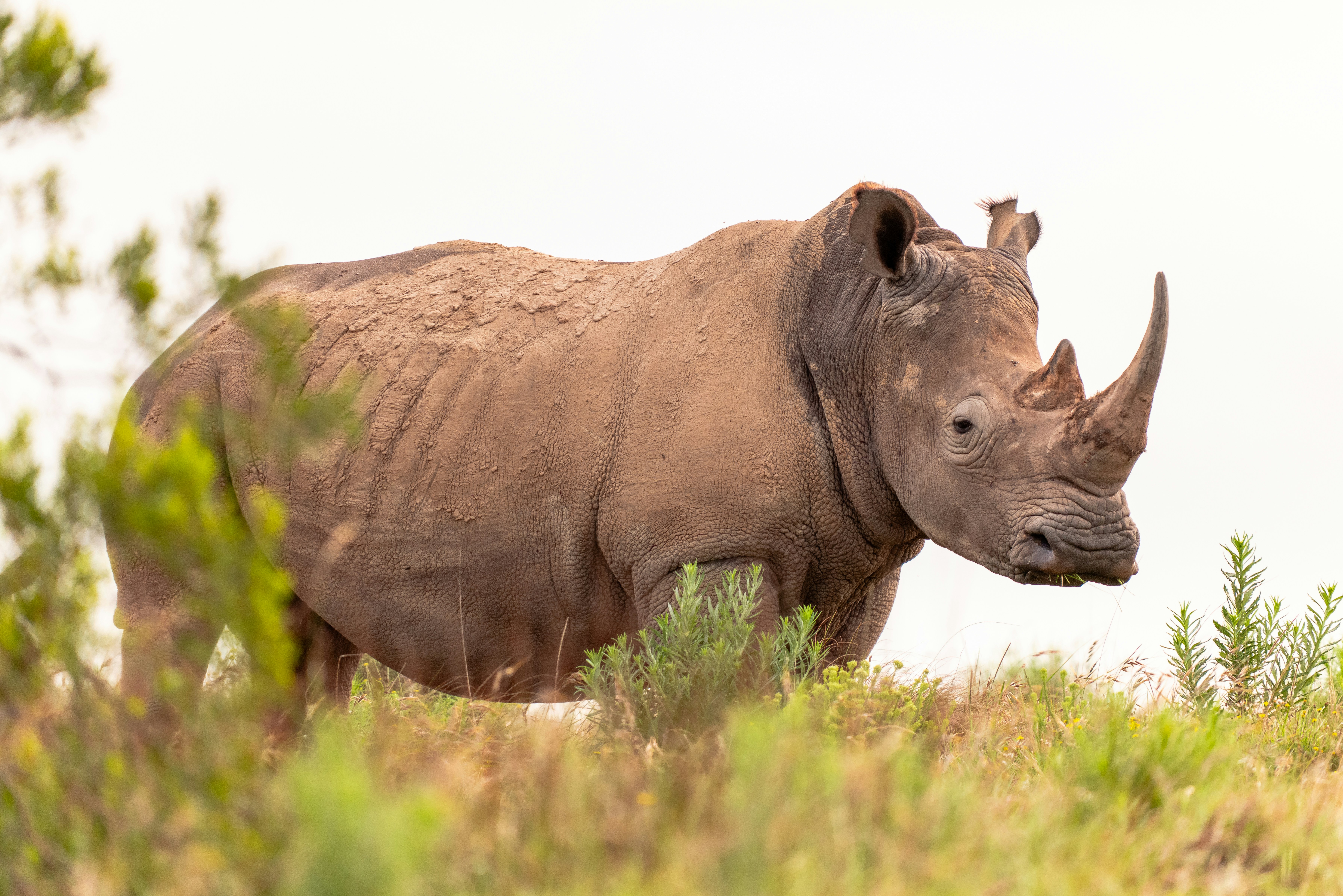 Photo by mwesselmann