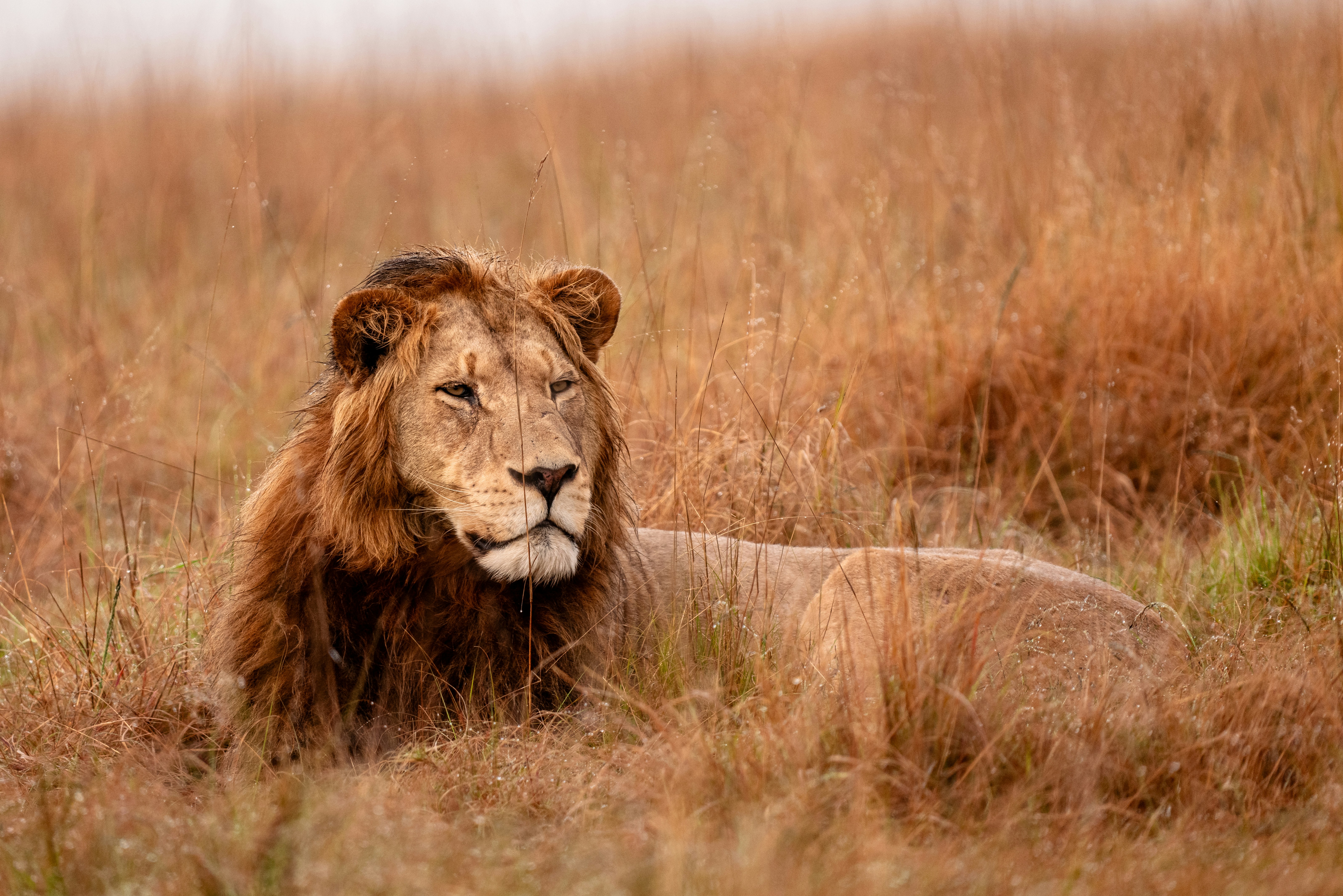 Photo by mwesselmann