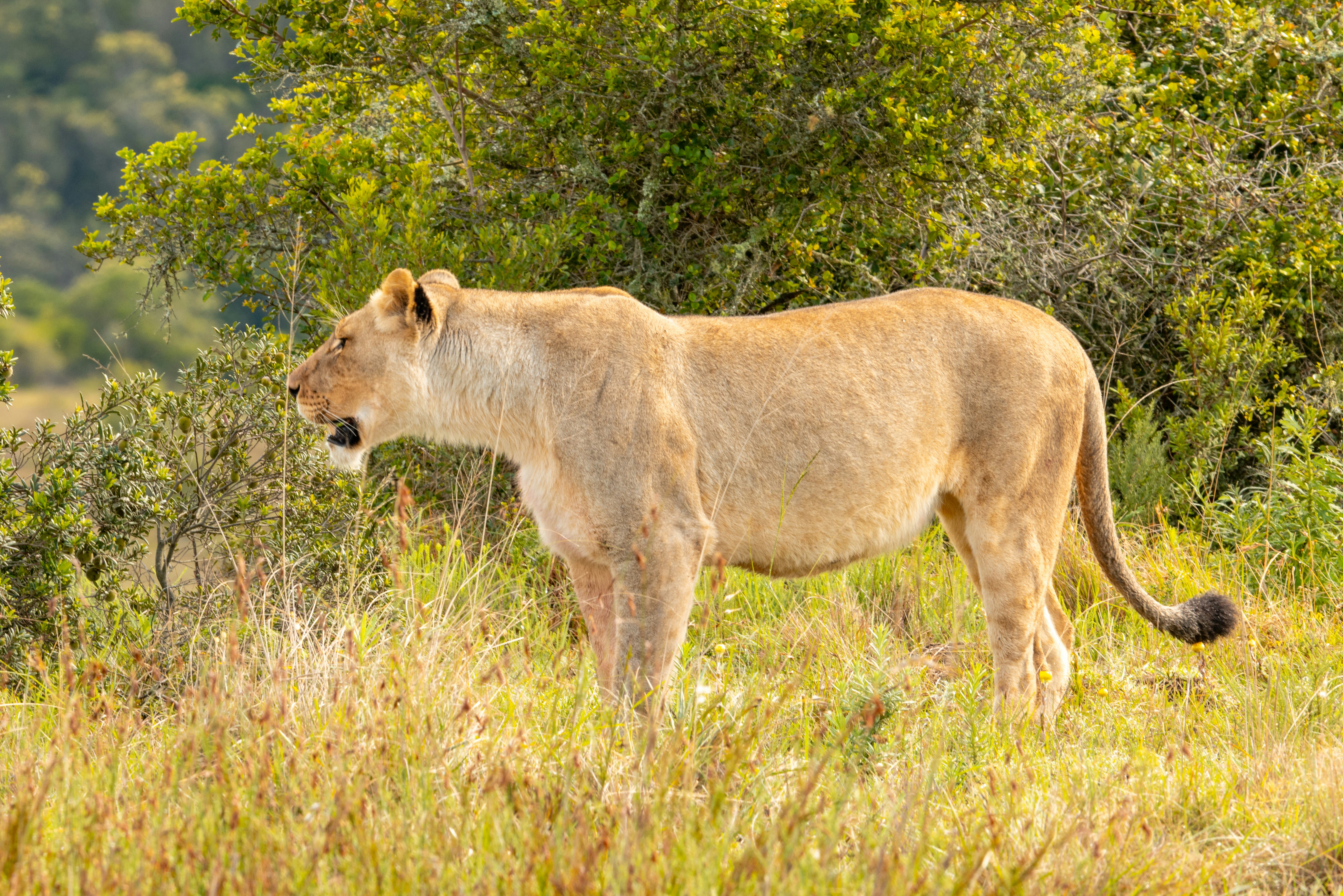 Photo by mwesselmann