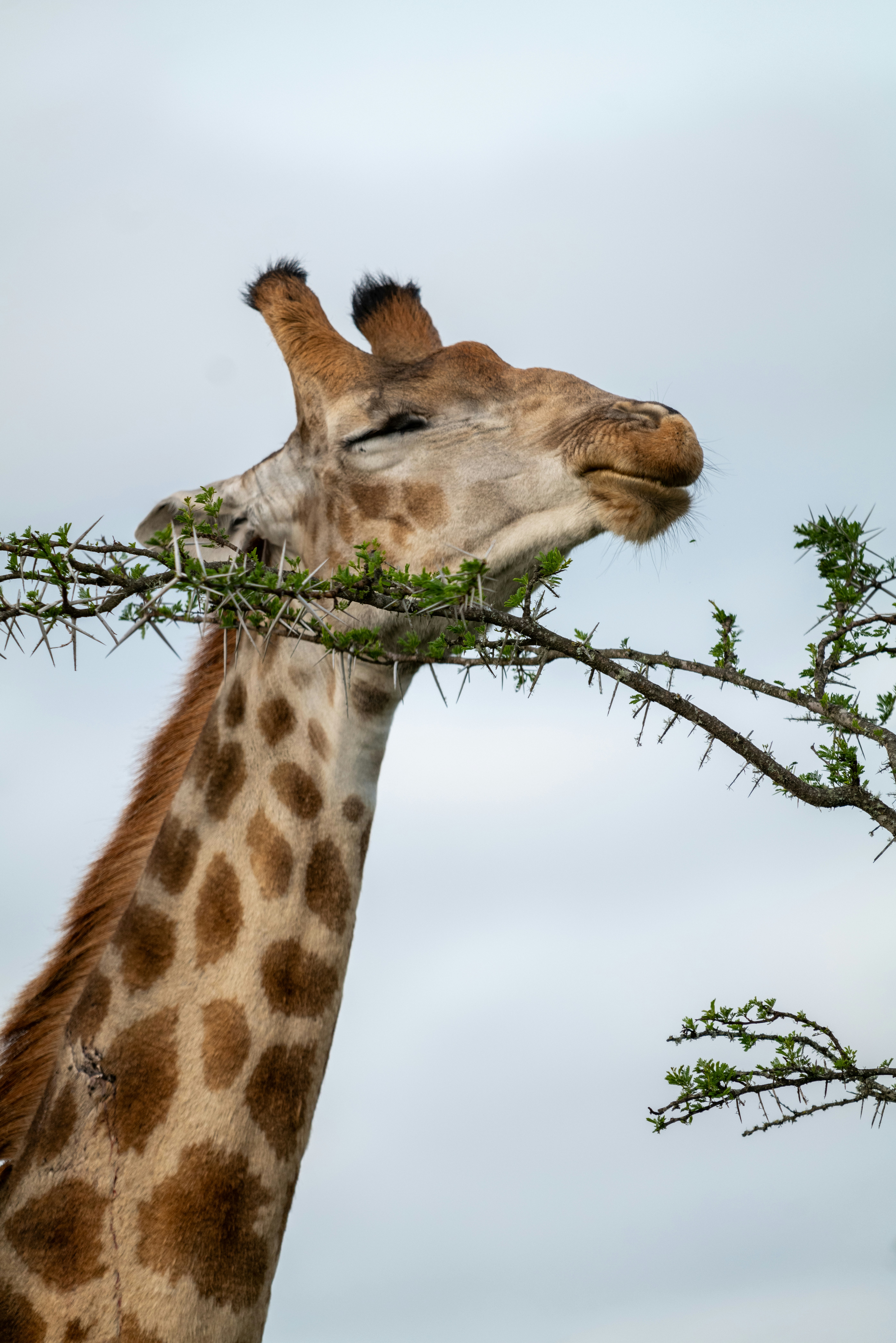 Photo by mwesselmann