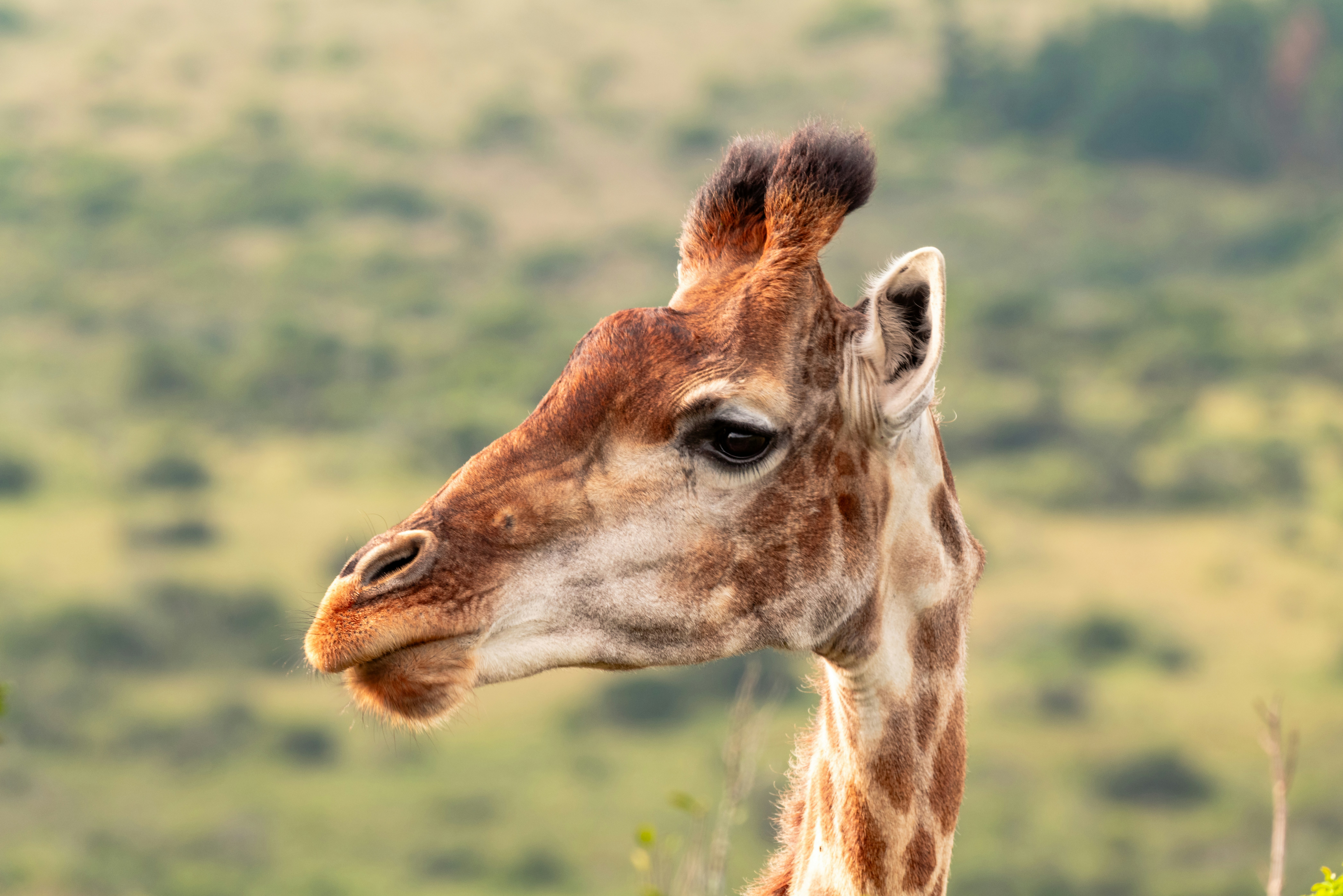 Photo by mwesselmann