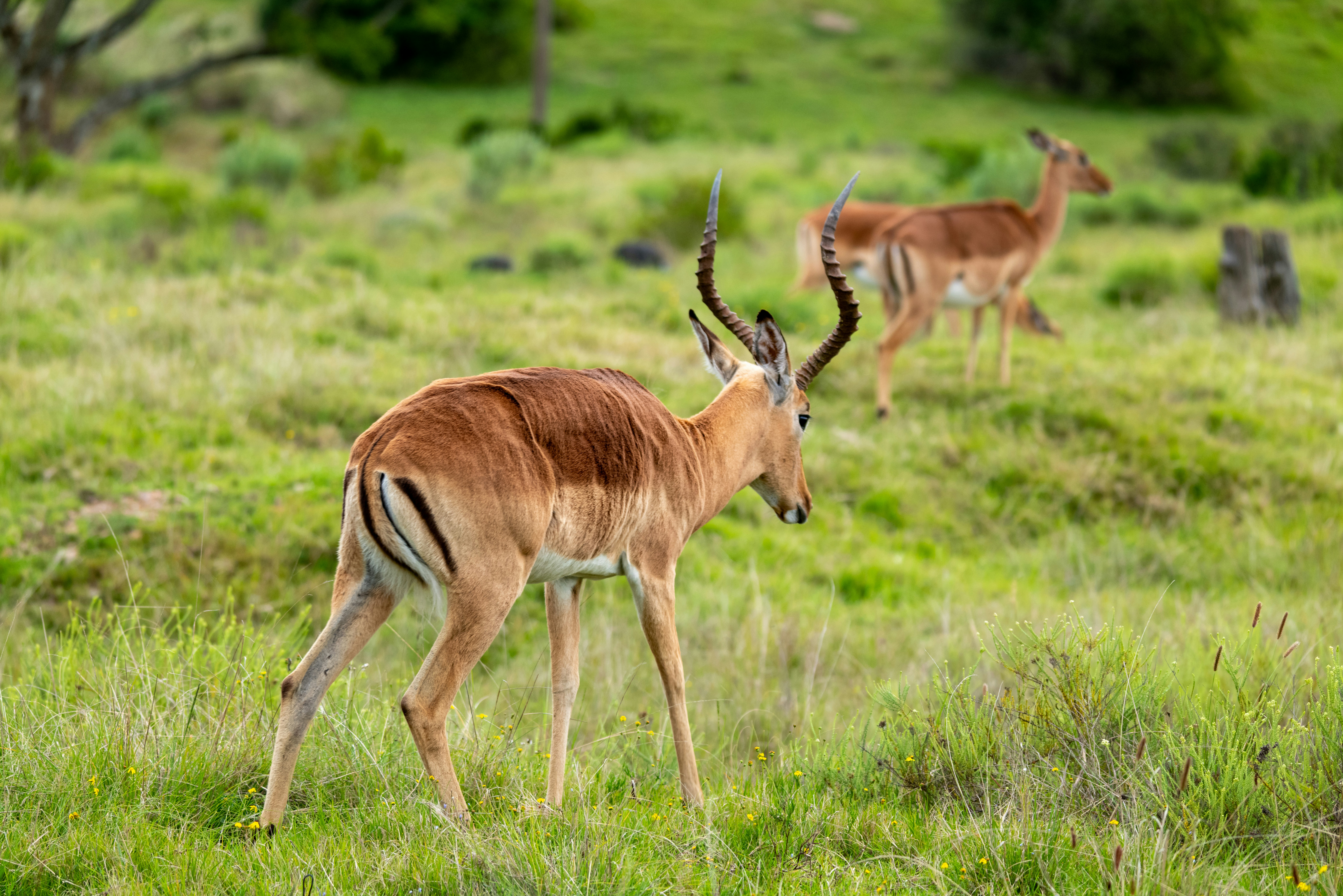 Photo by mwesselmann
