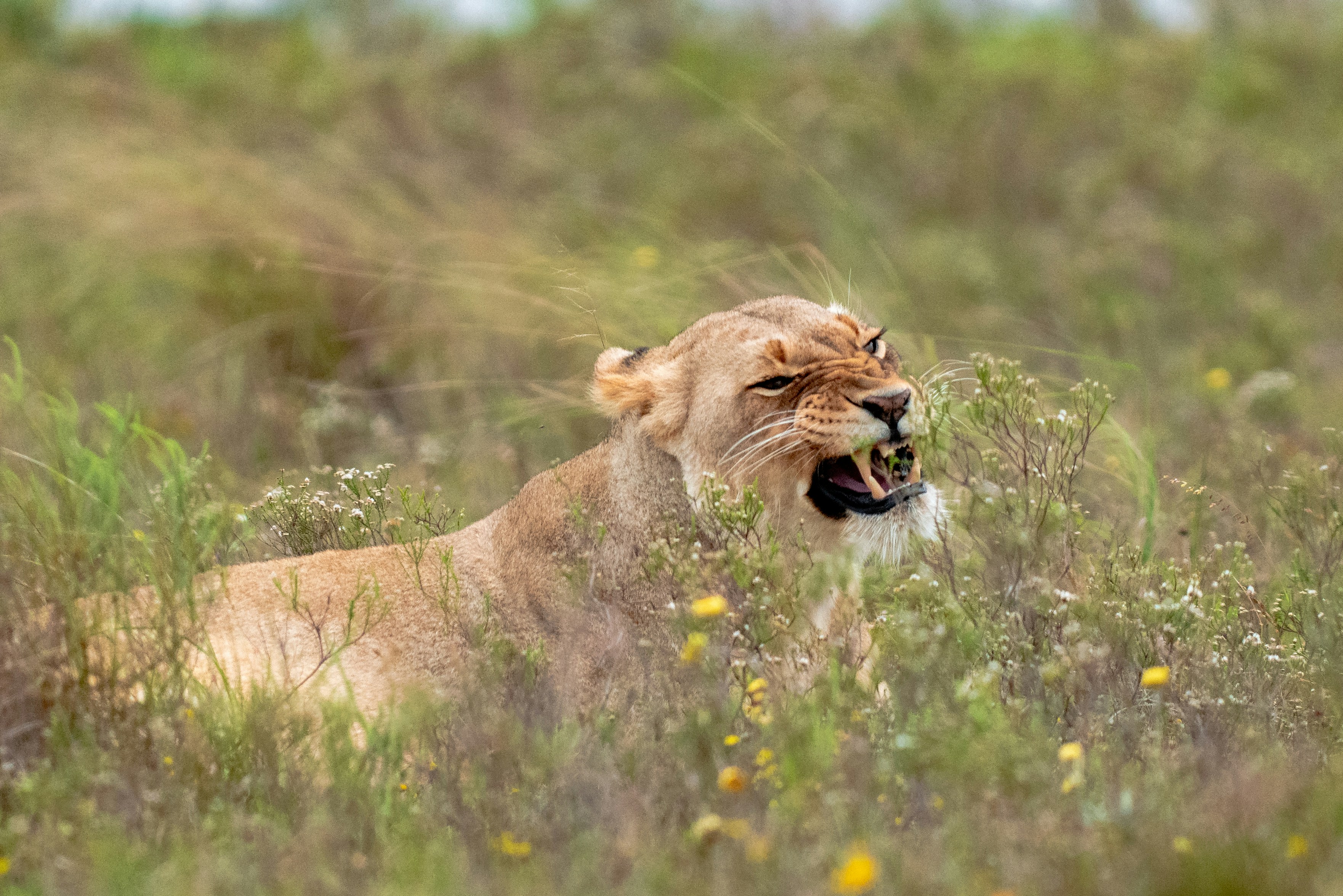 Photo by mwesselmann