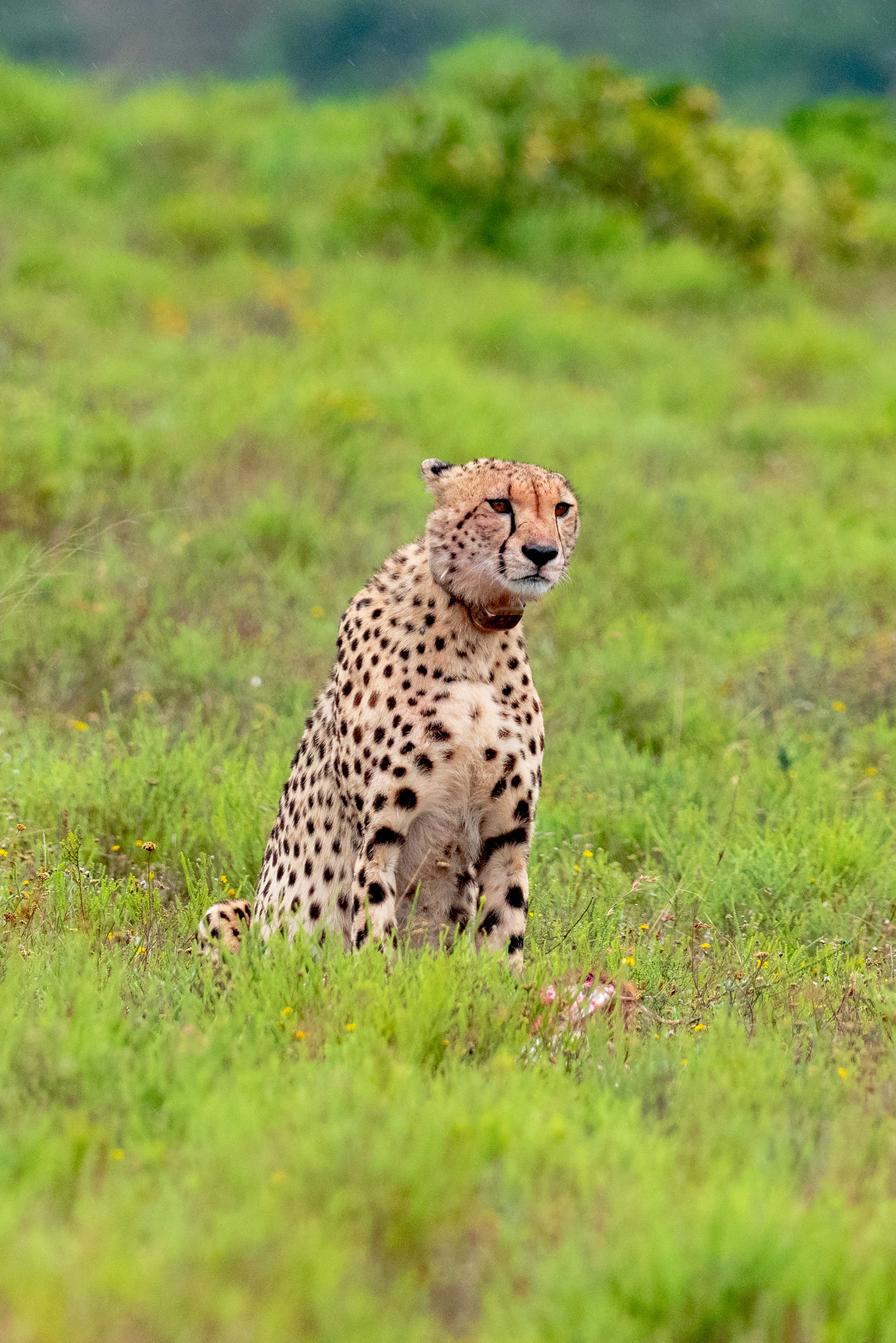 Photo by mwesselmann