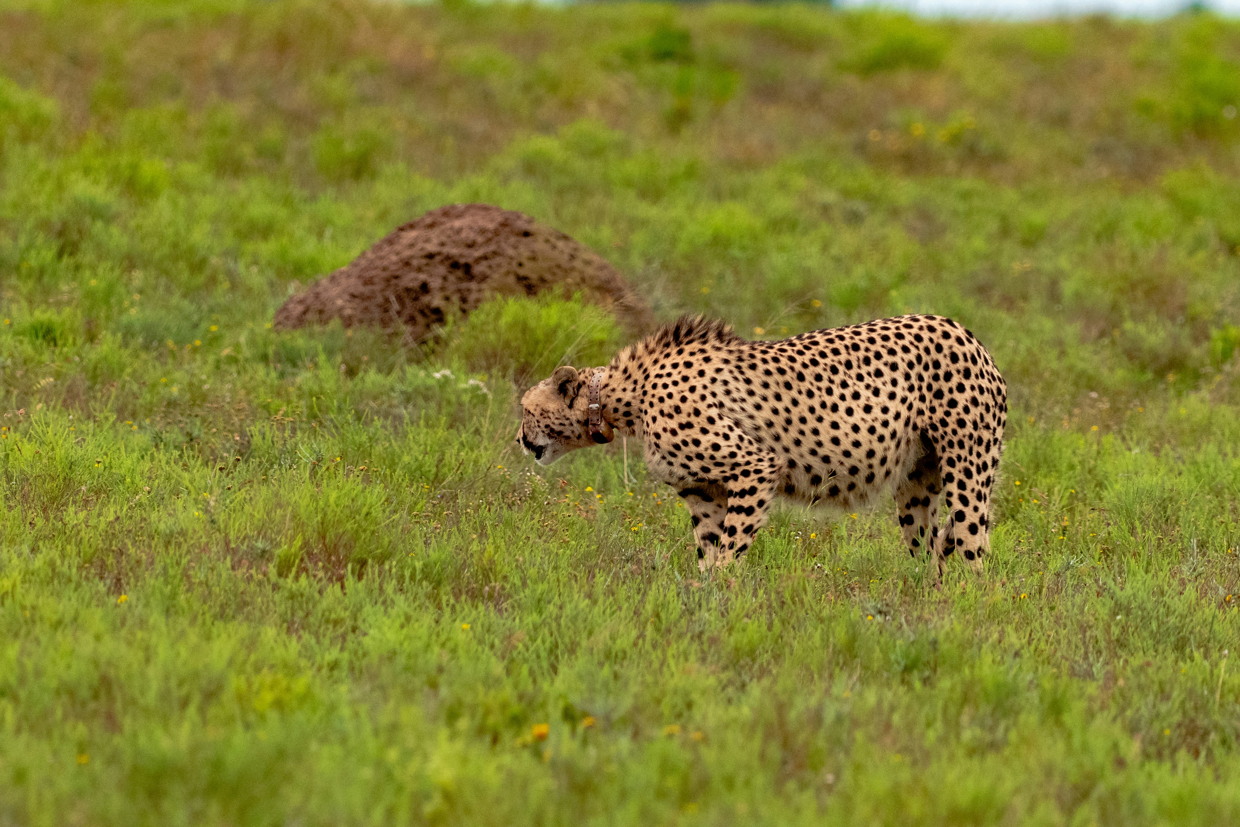 Photo by mwesselmann