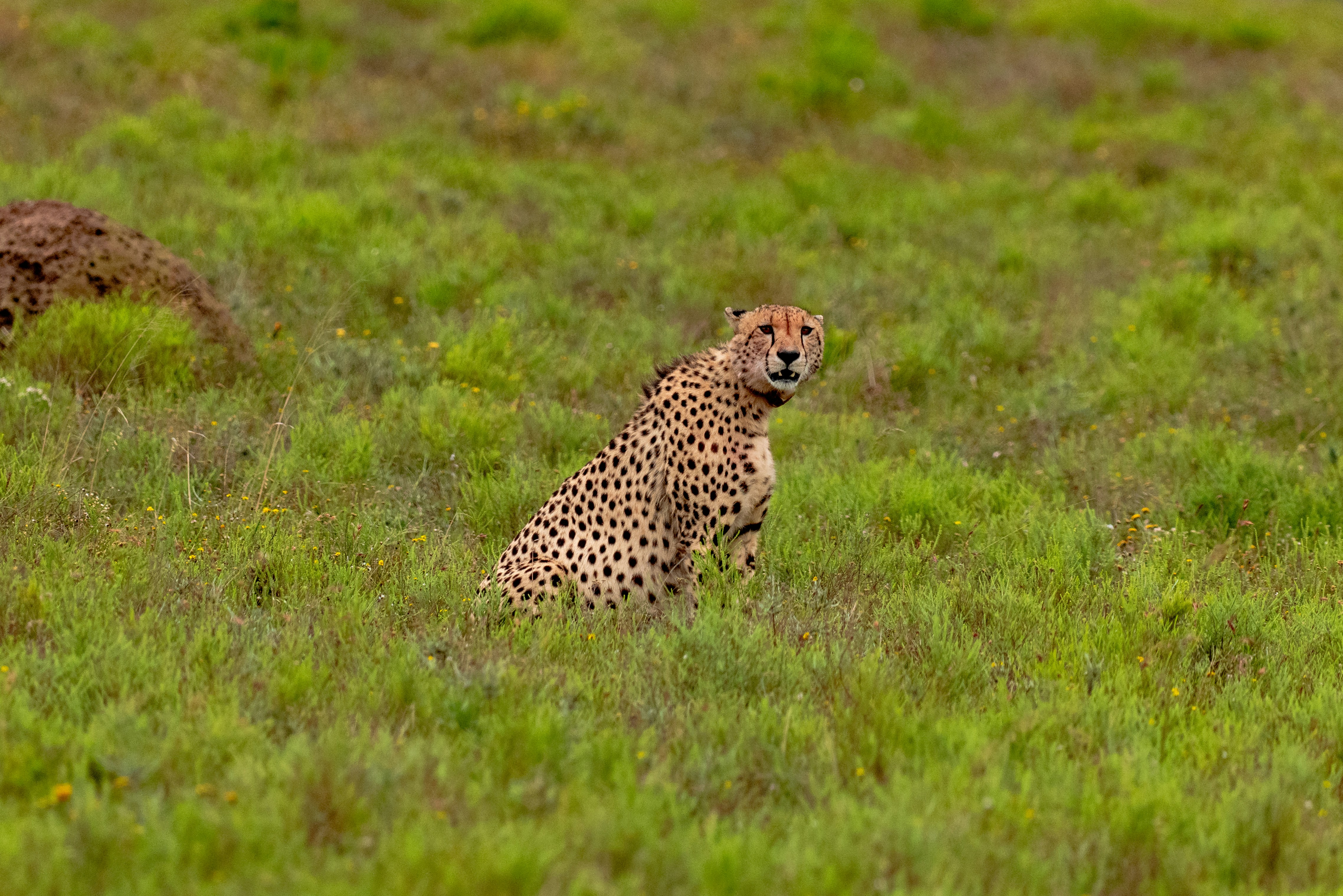 Photo by mwesselmann