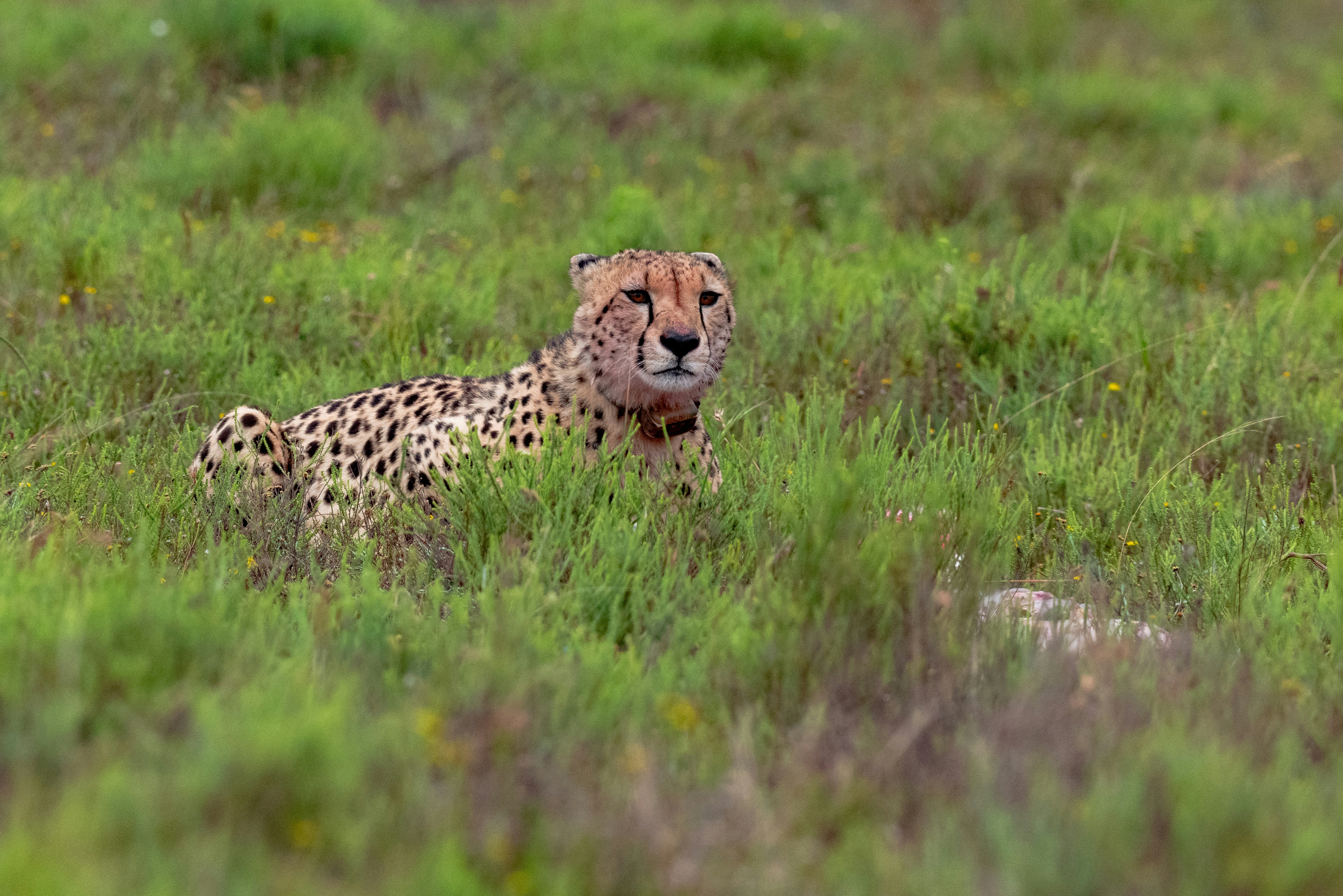 Photo by mwesselmann