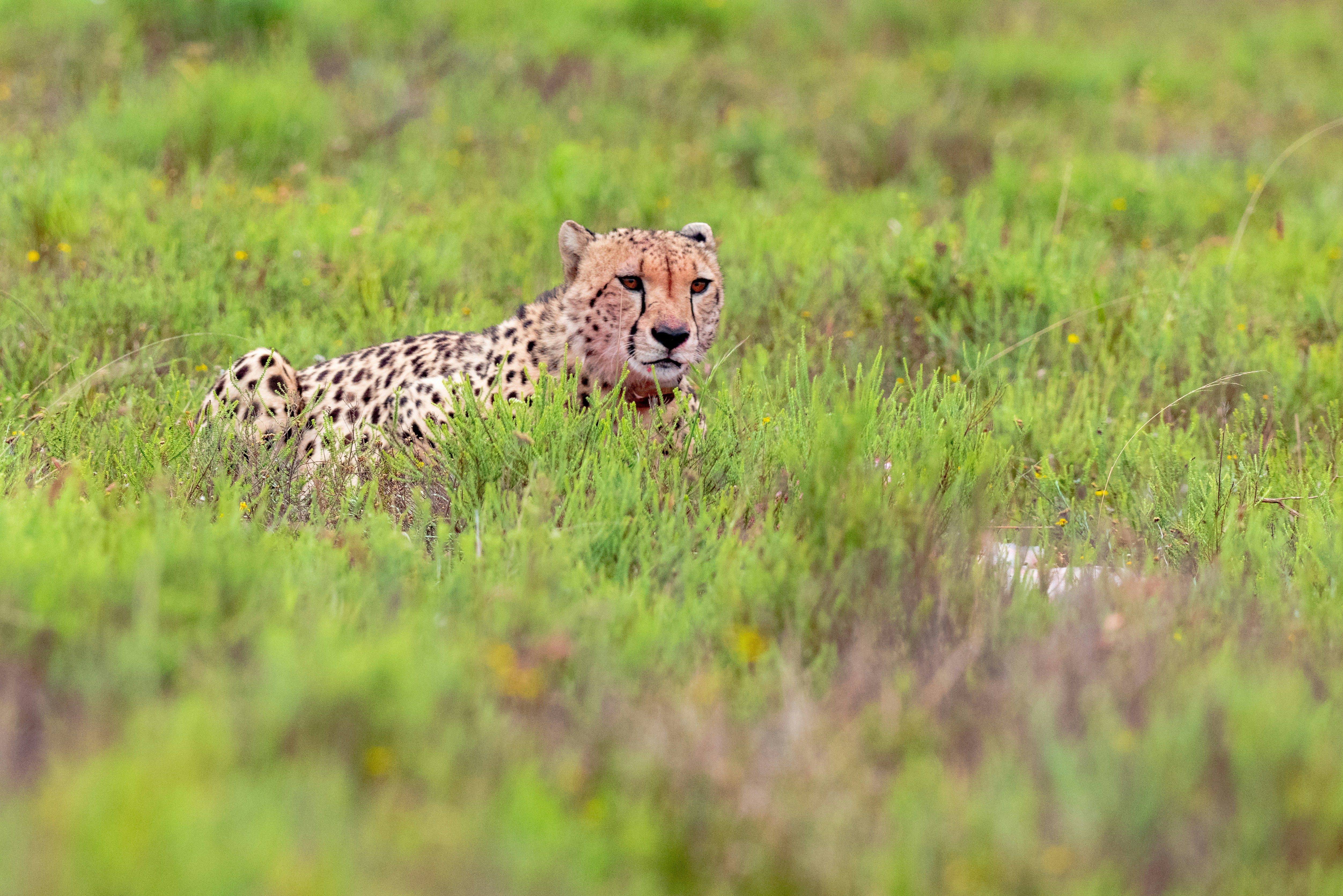 Photo by mwesselmann