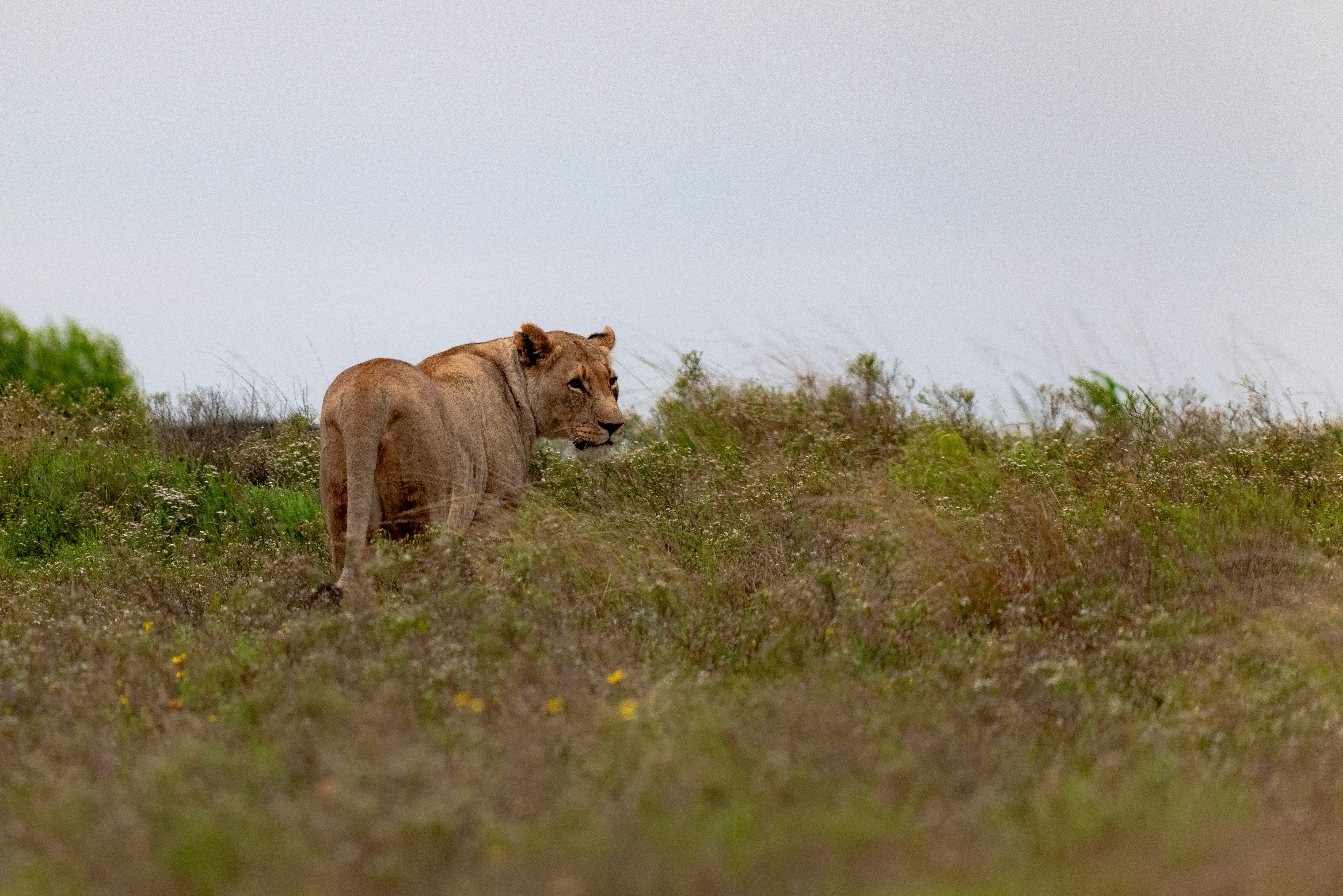 Photo by mwesselmann