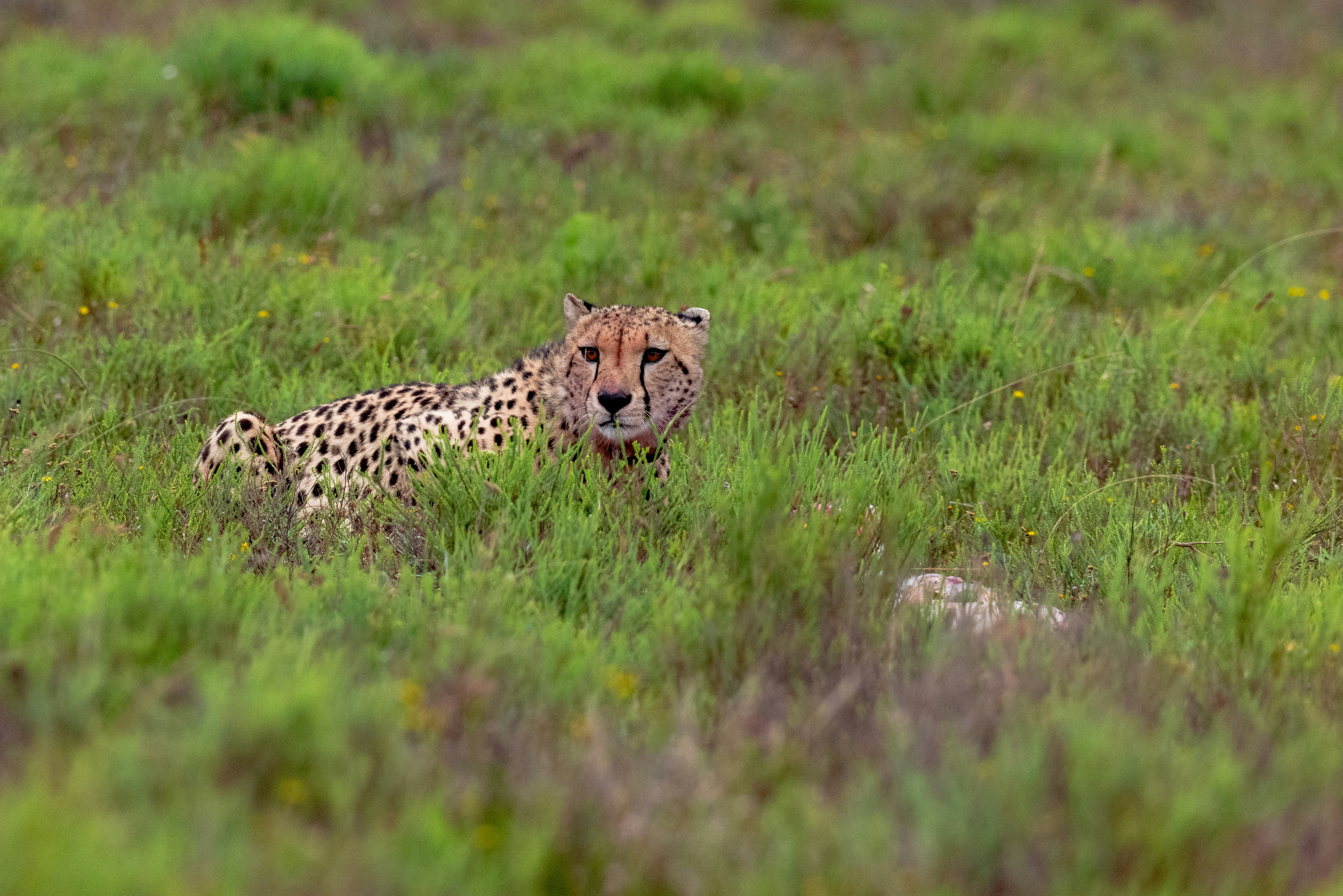 Photo by mwesselmann