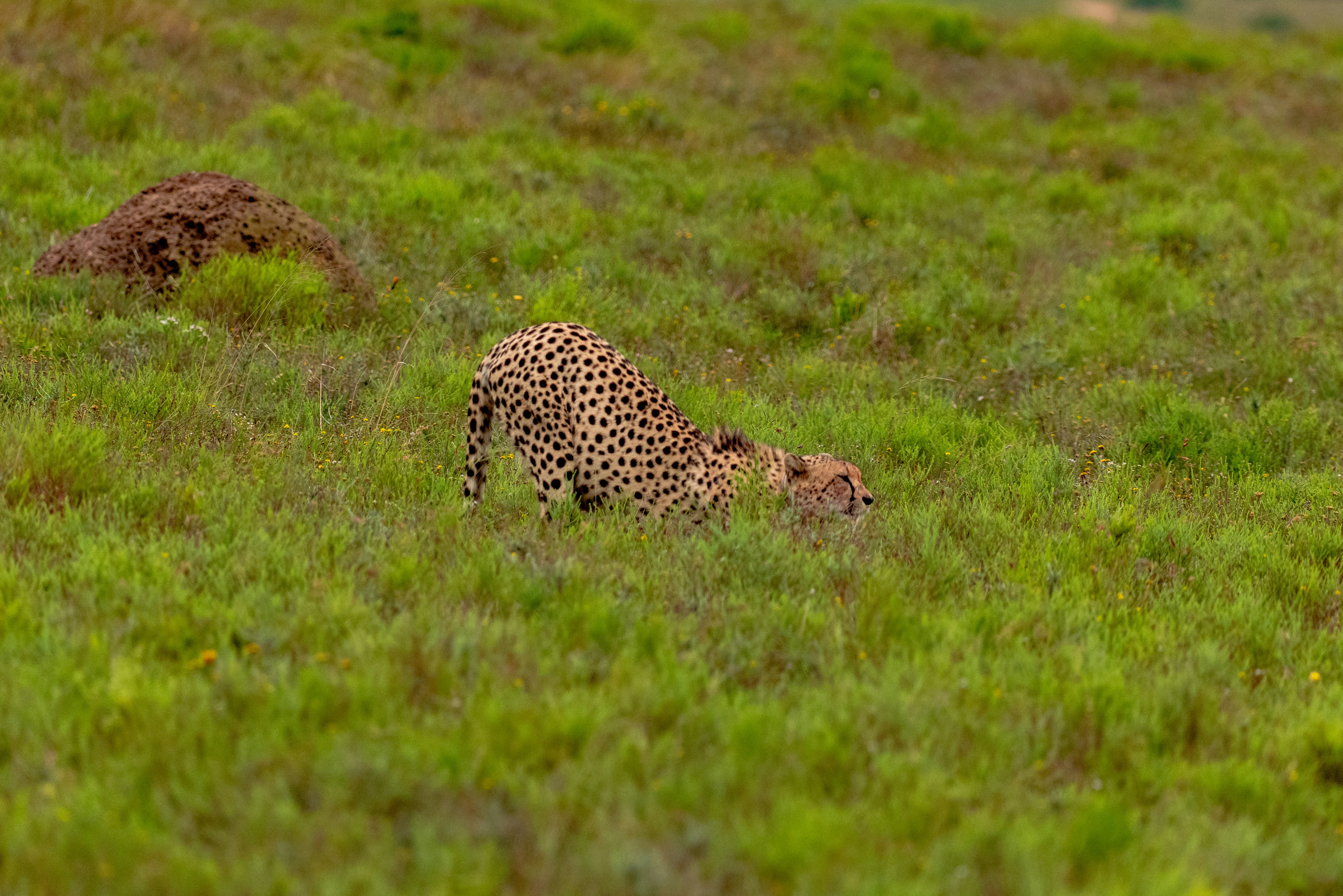 Photo by mwesselmann