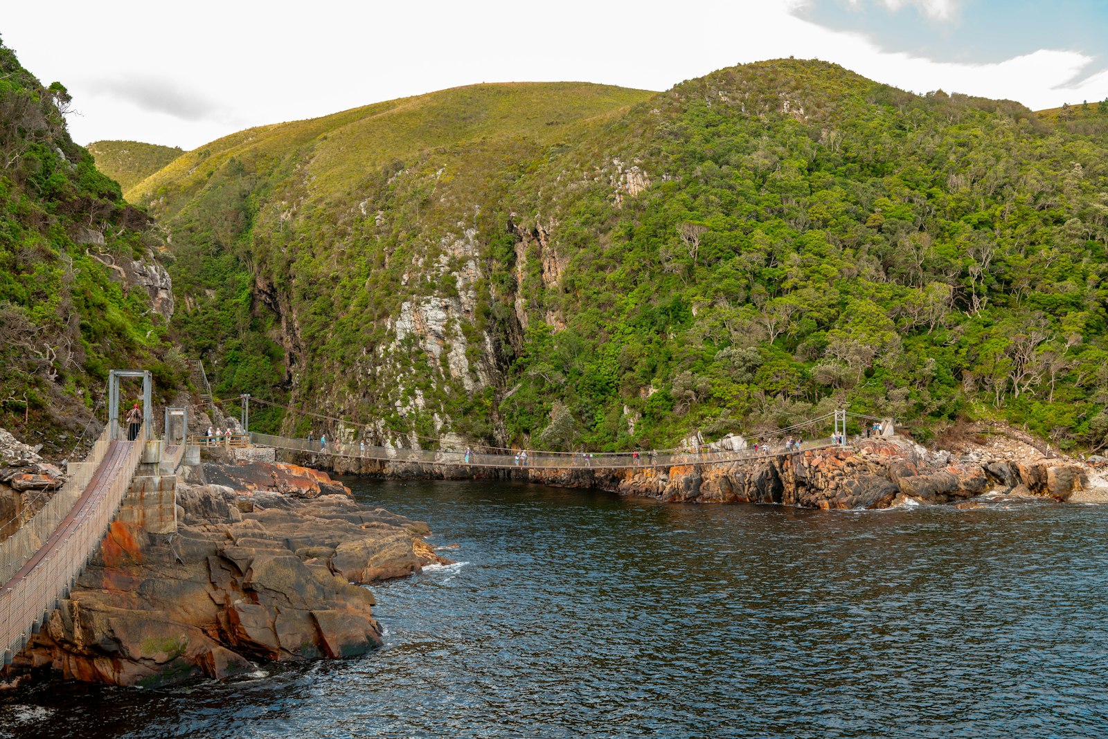 Suspension bridge spanning the Storms River Mouth beneath forested cliffs in Tsitsikamma