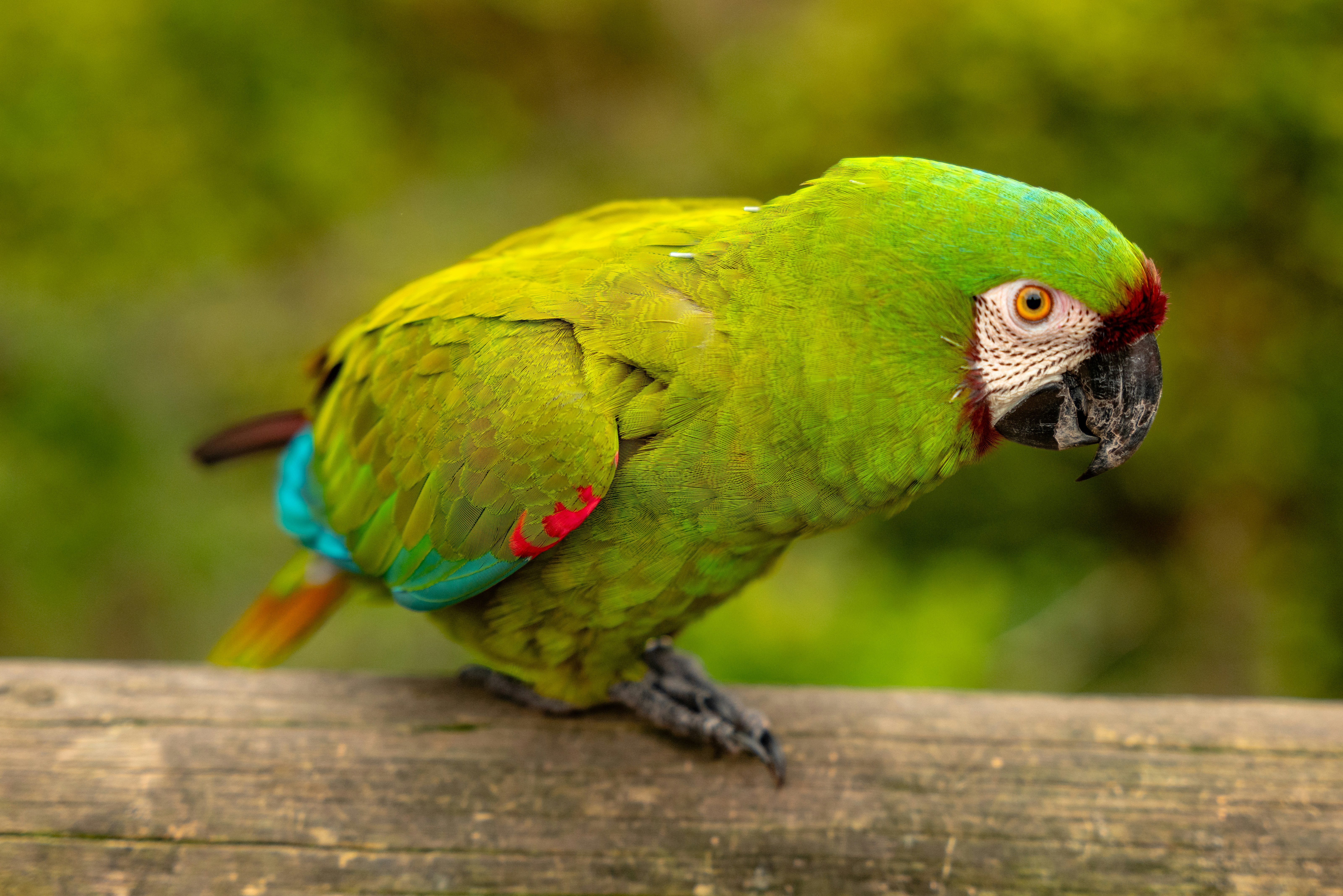 Photo by mwesselmann