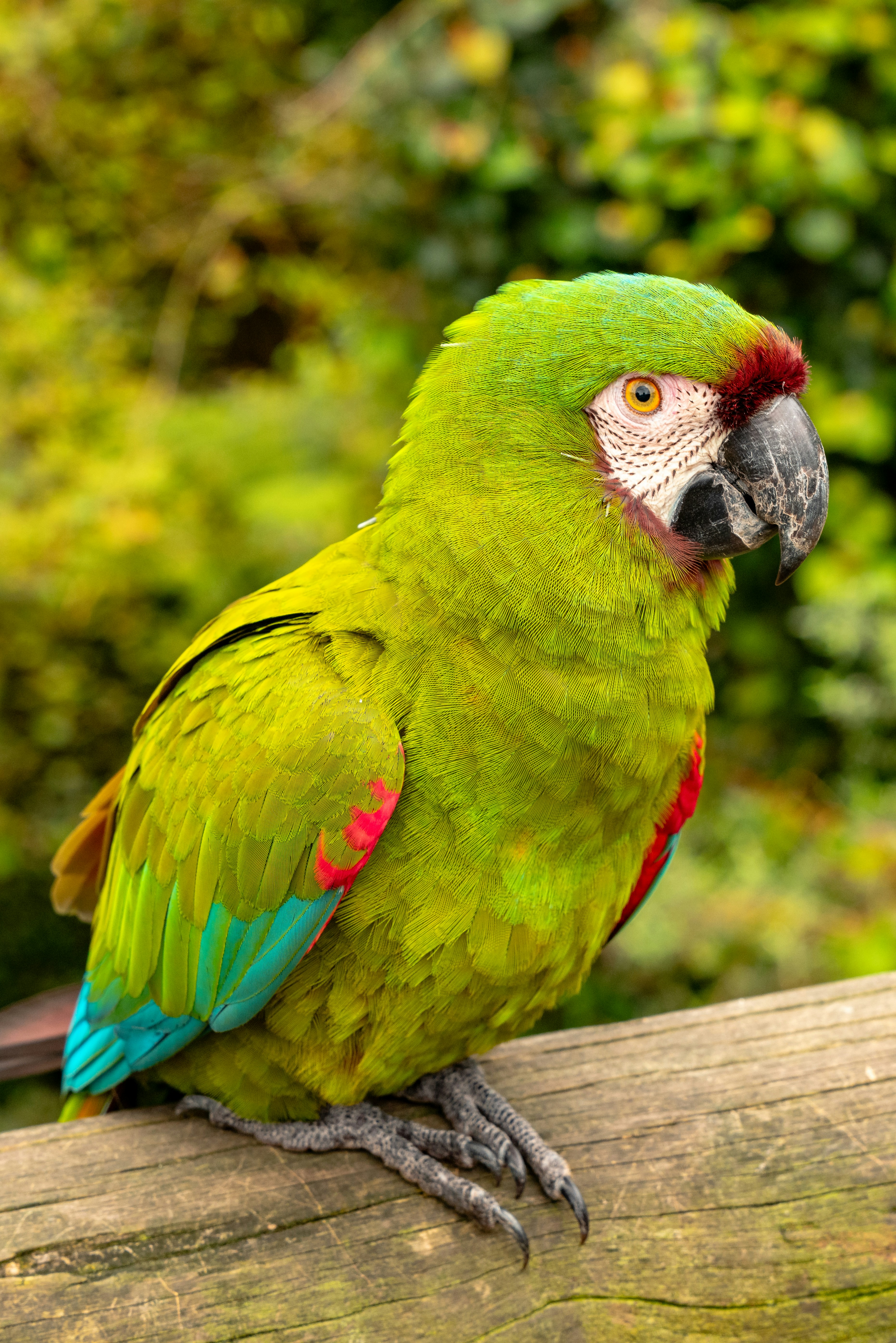 Photo by mwesselmann