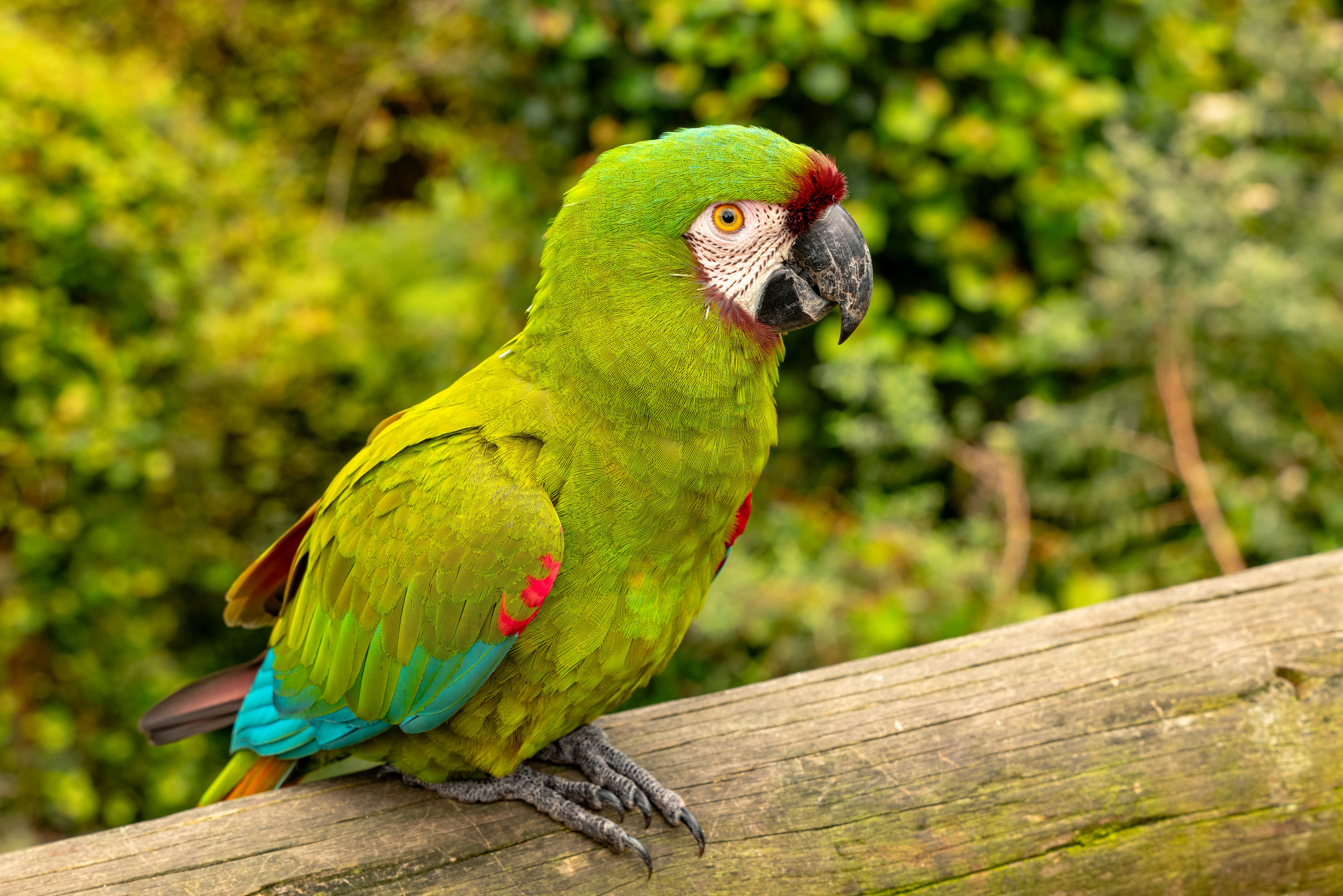 Photo by mwesselmann