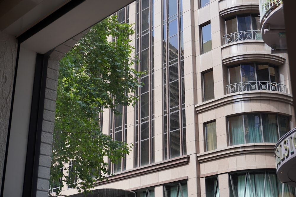 a tall building with lots of windows next to a tree