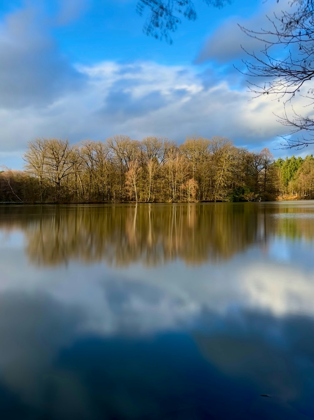 a body of water surrounded by trees and clouds