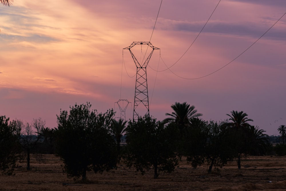 a power line in the middle of a field