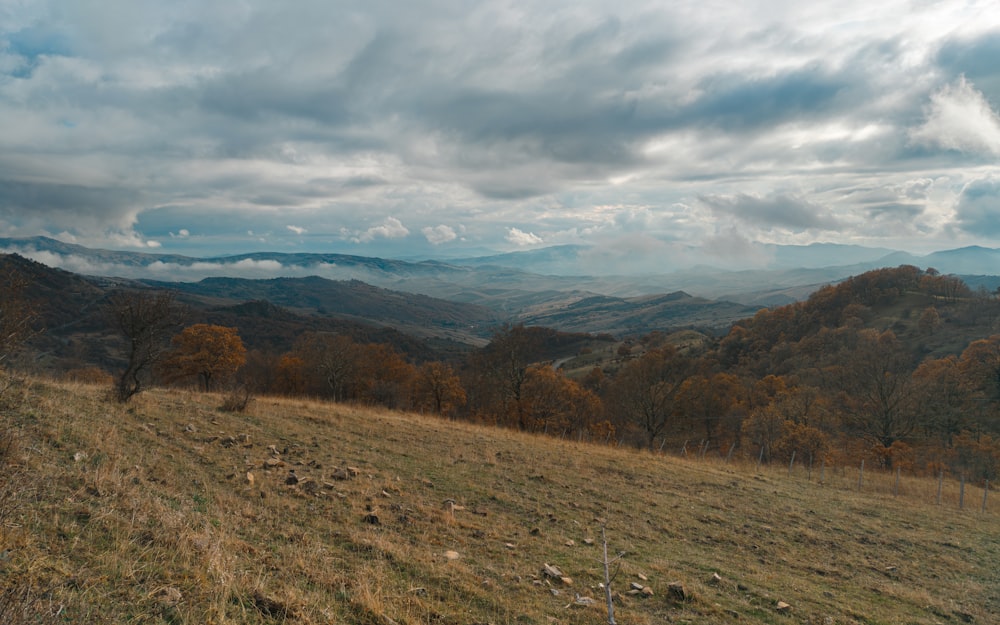 a grassy hill with trees and mountains in the background