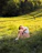 A serene photo of a smiling woman sitting peacefully in a sunlit garden surrounded by lush greenery.