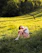 A serene photo of a smiling woman sitting peacefully in a sunlit garden surrounded by lush greenery.