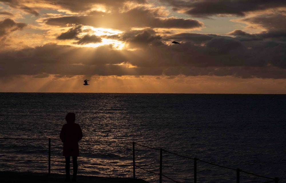 a person standing on a pier watching the sun set