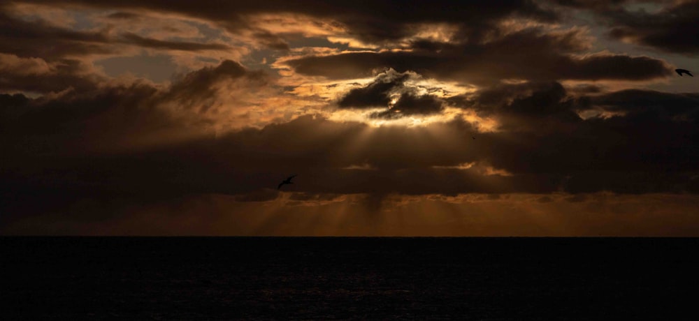 a bird flying over a body of water under a cloudy sky