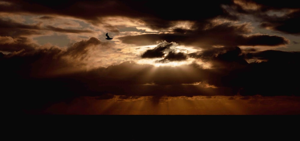 a bird flying through a cloudy sky at sunset