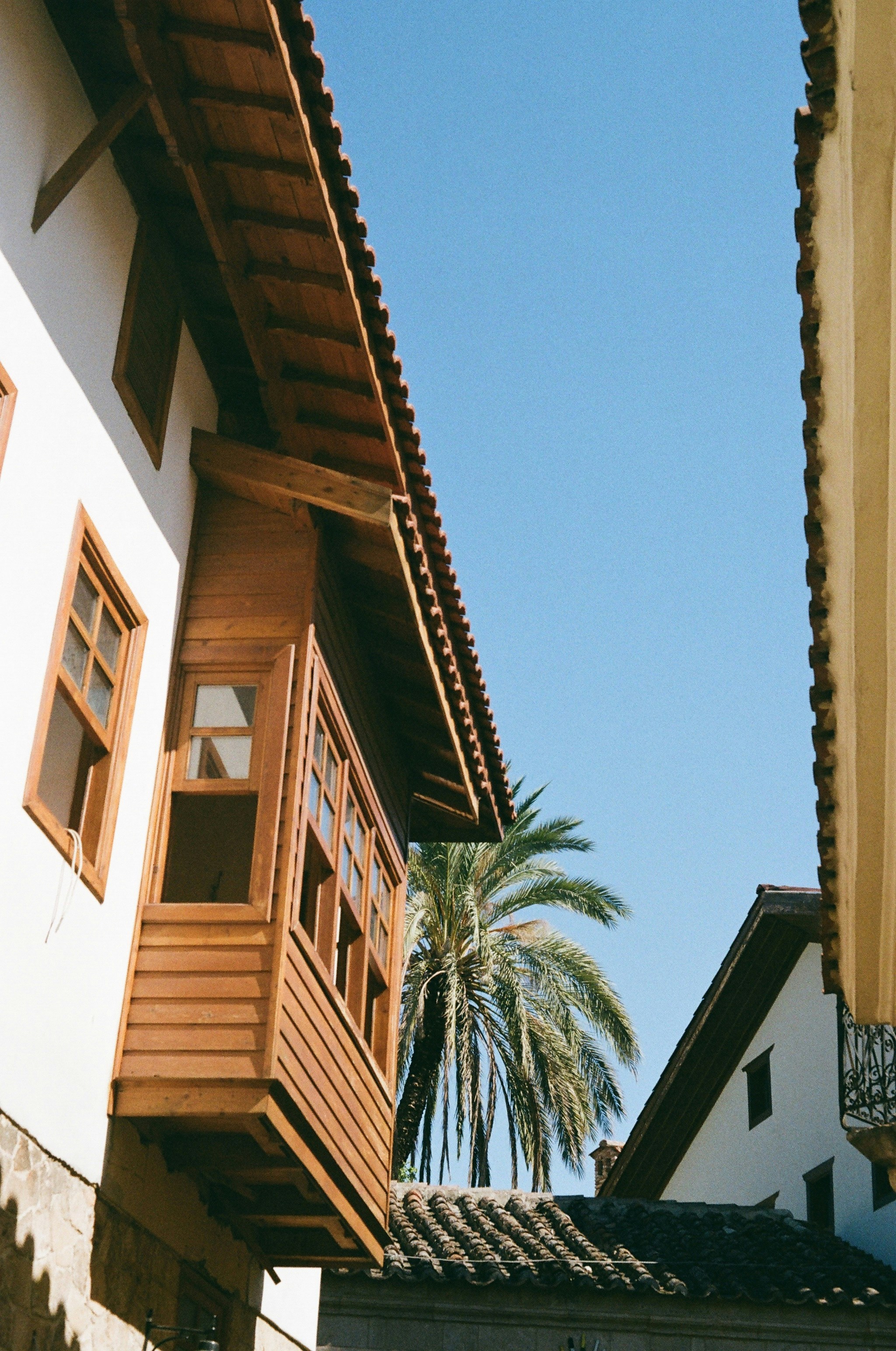 Photo by thesilvafocus