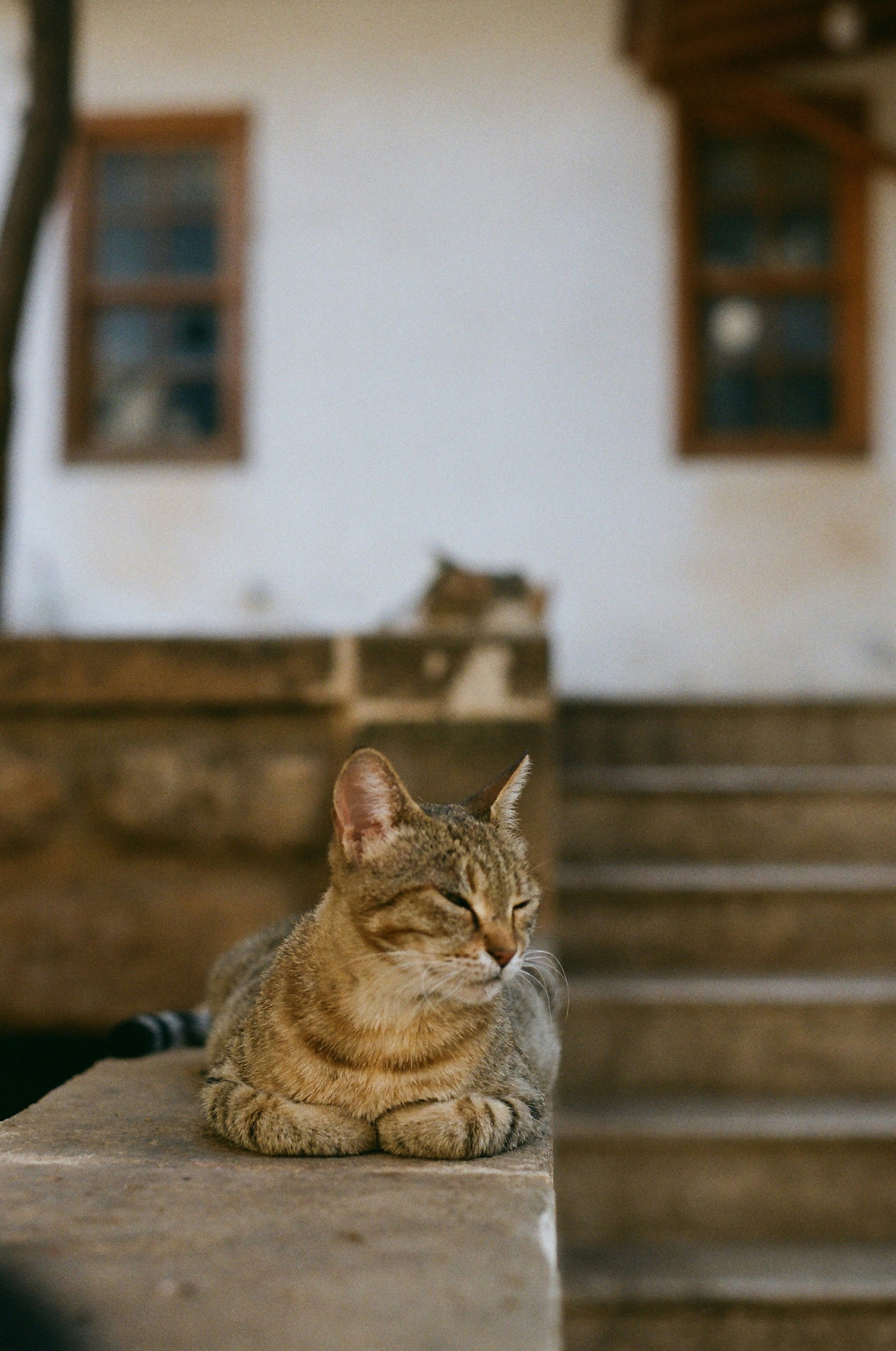 Photo by thesilvafocus