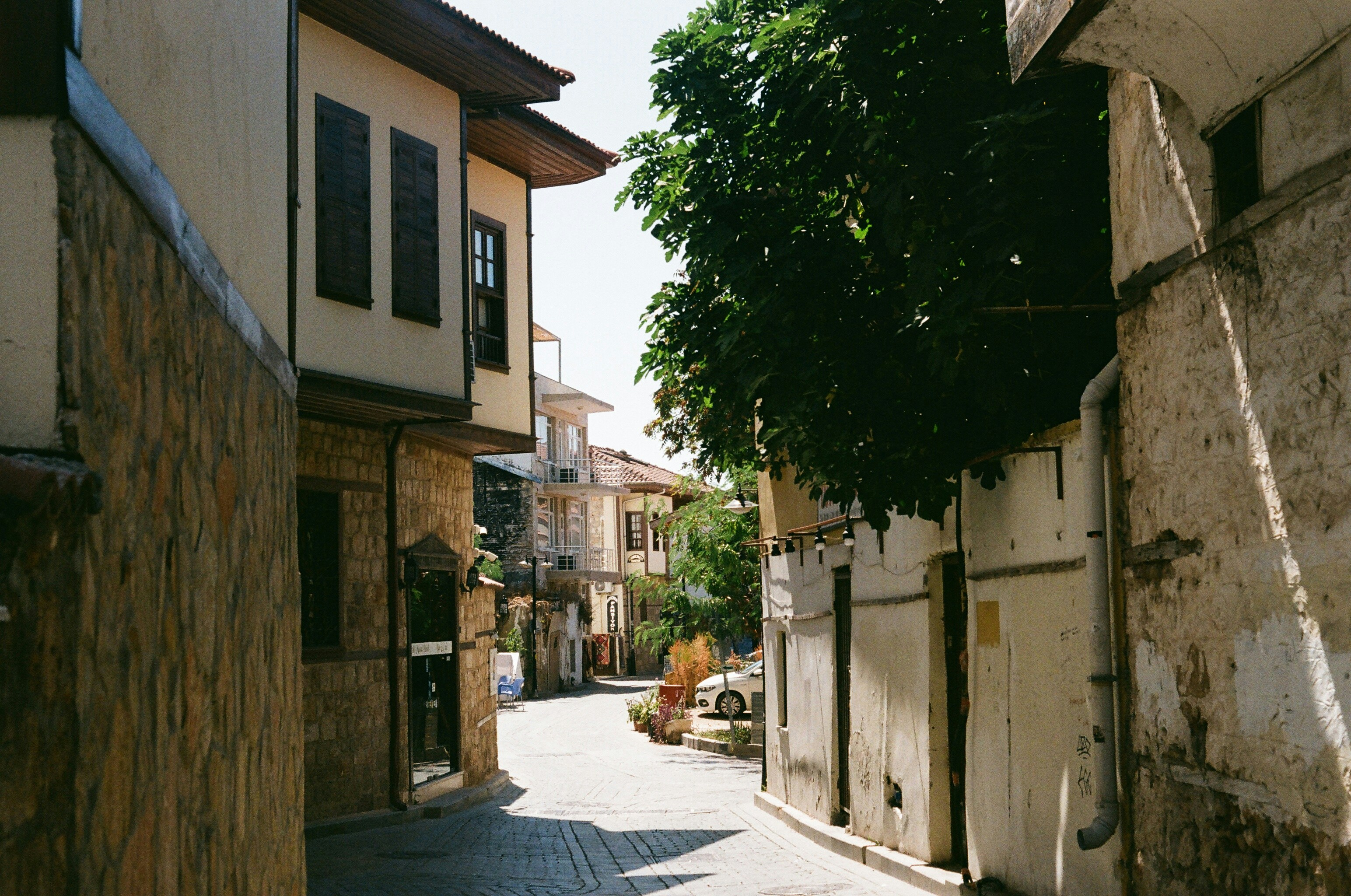 Photo by thesilvafocus