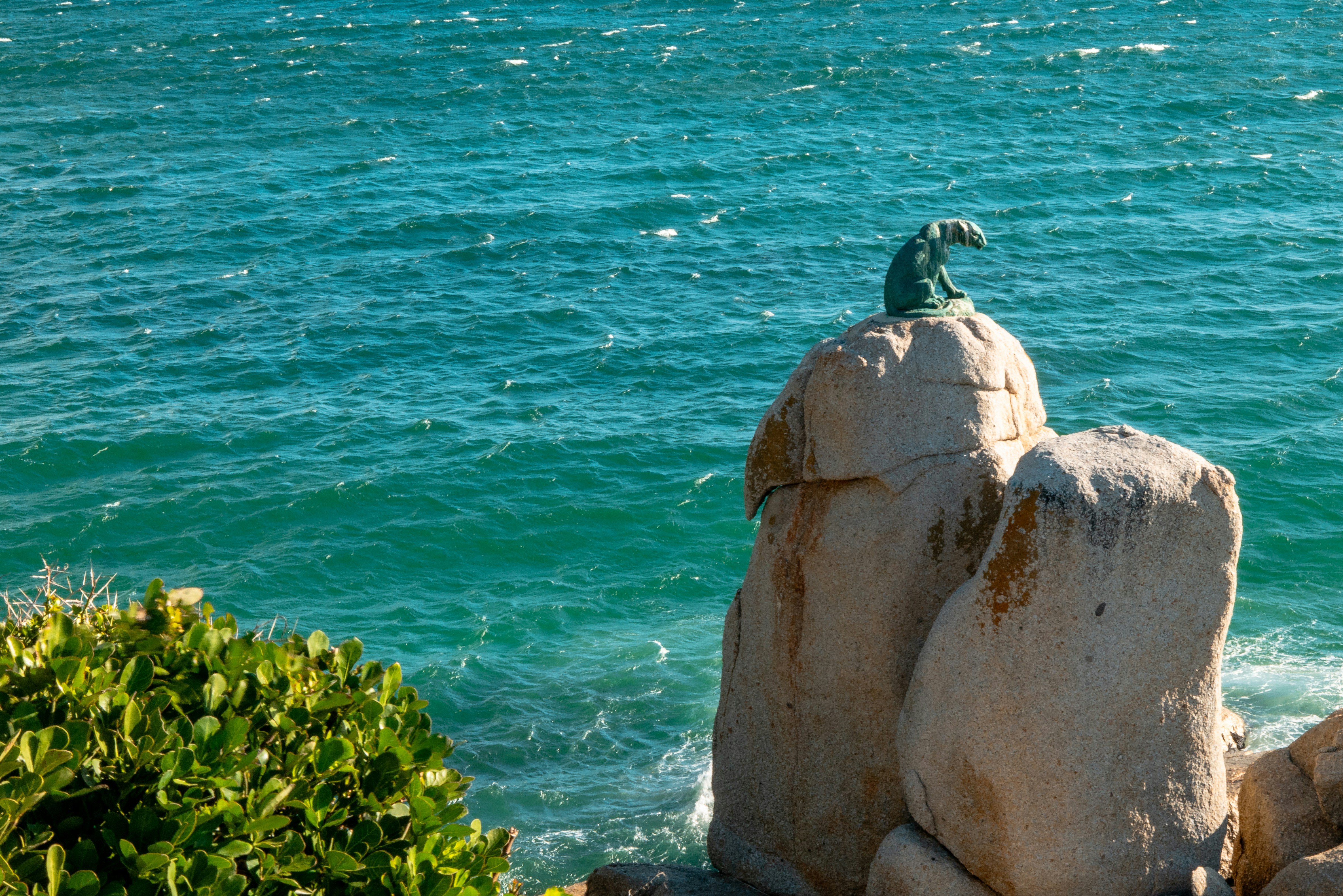a bird sitting on top of a rock near the ocean