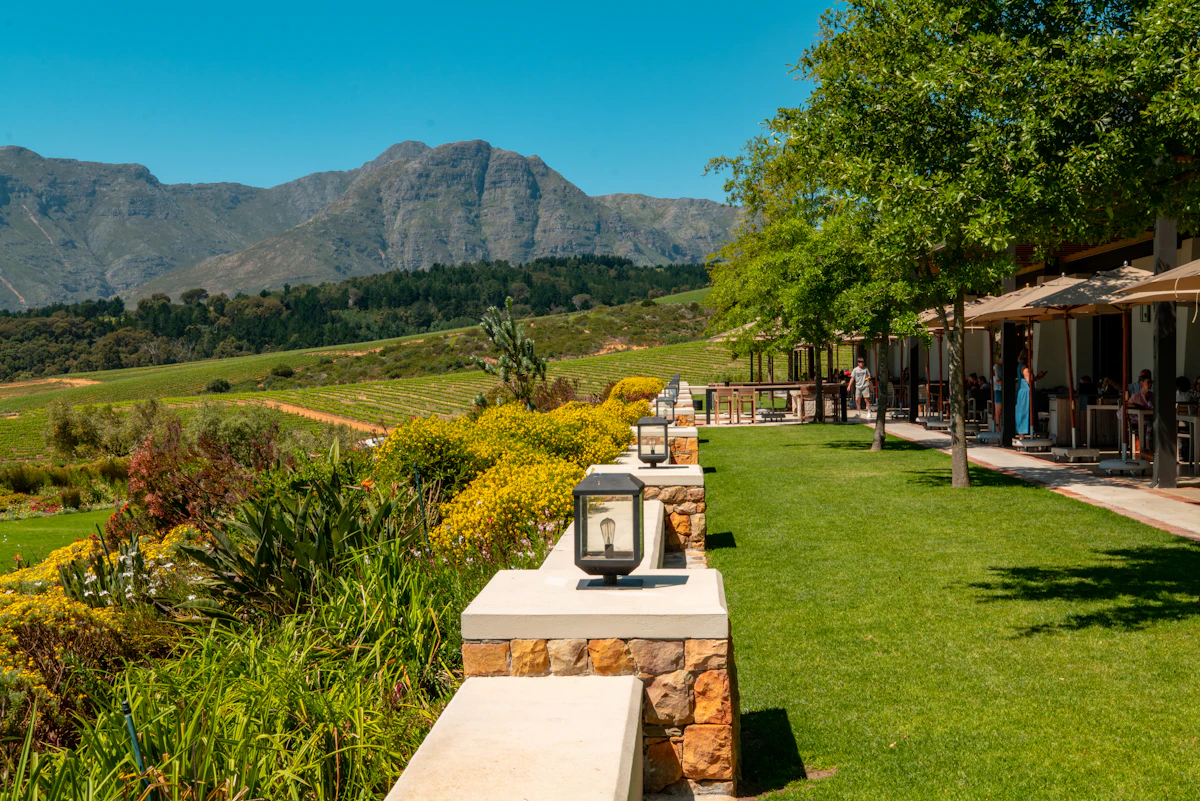 Outdoor seating at a Stellenbosch wine estate overlooking the vines