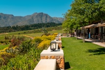 A scenic view of a vineyard with rows of grapevines stretching towards the mountains in the background. A well-maintained garden with lush green grass and colorful flowers borders a patio area where outdoor seating is available. Trees provide shade near a building on the right, with people visible enjoying the setting.