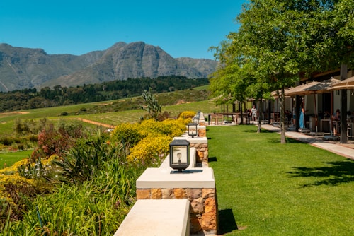 A scenic view of a vineyard with rows of grapevines stretching towards the mountains in the background. A well-maintained garden with lush green grass and colorful flowers borders a patio area where outdoor seating is available. Trees provide shade near a building on the right, with people visible enjoying the setting.