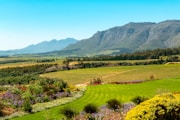 a lush green field with mountains in the background