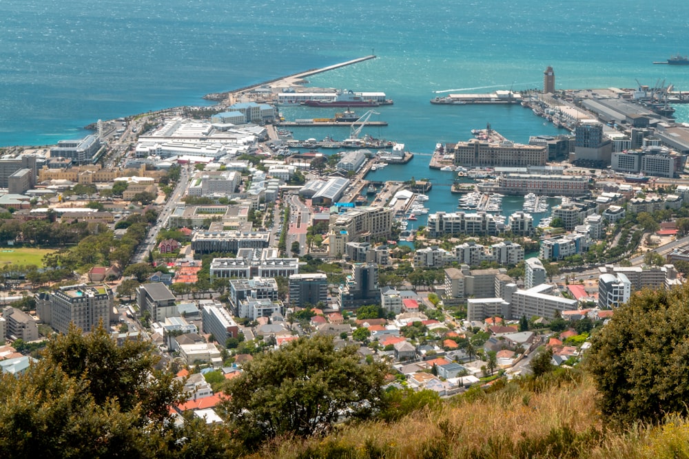 a view of a city and a harbor from a hill