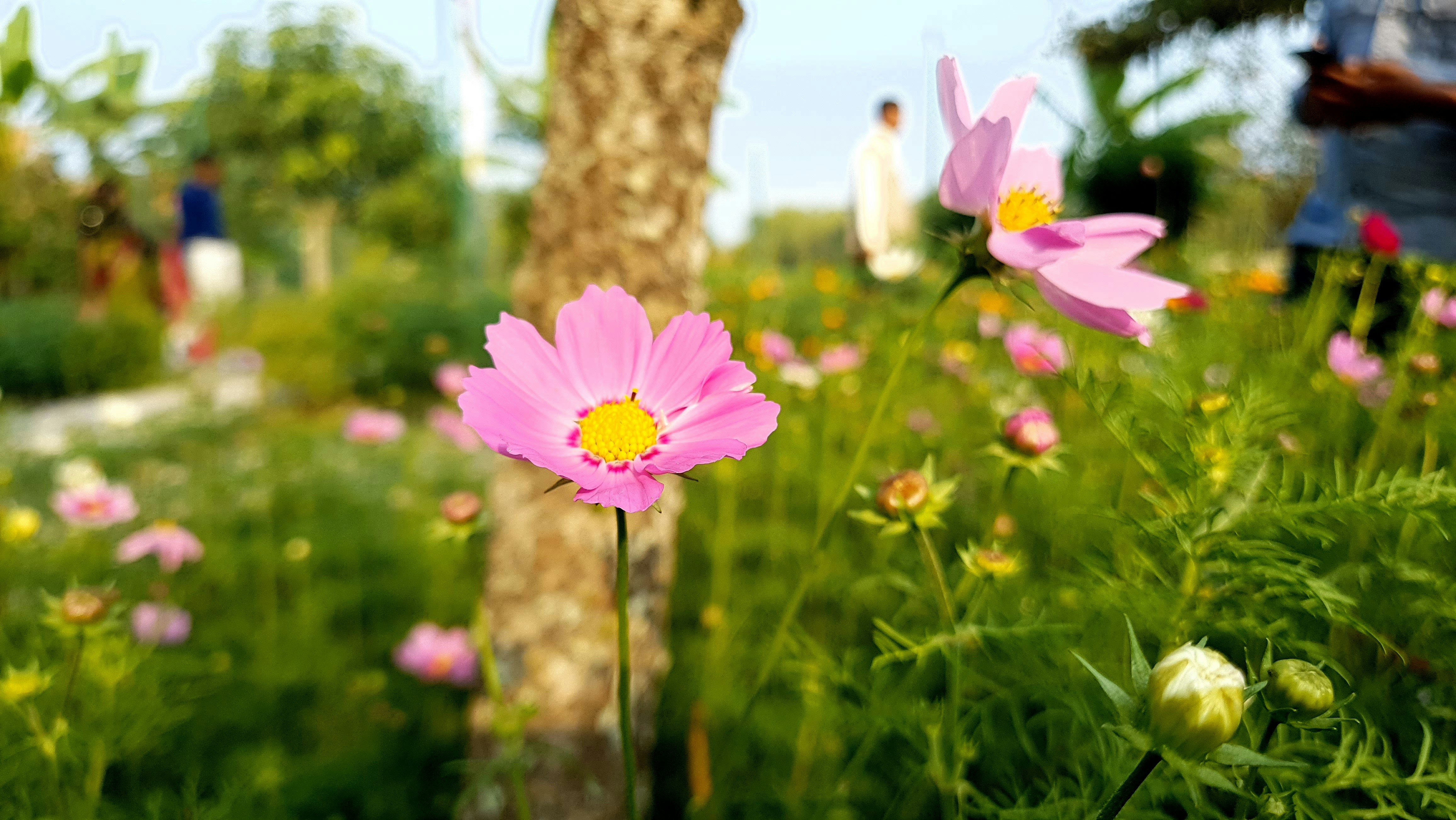 Photo by jahir2002biswas