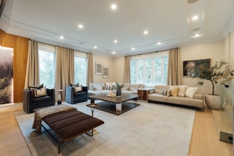 A bright, modern living room showcasing a harmonious blend of sleek furniture and warm, inviting decor.