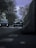 A vintage car is driving down a tree-lined road, flanked by modern vehicles. The scene is overcast with bare trees framing the road, creating a blend of classic and contemporary styles.