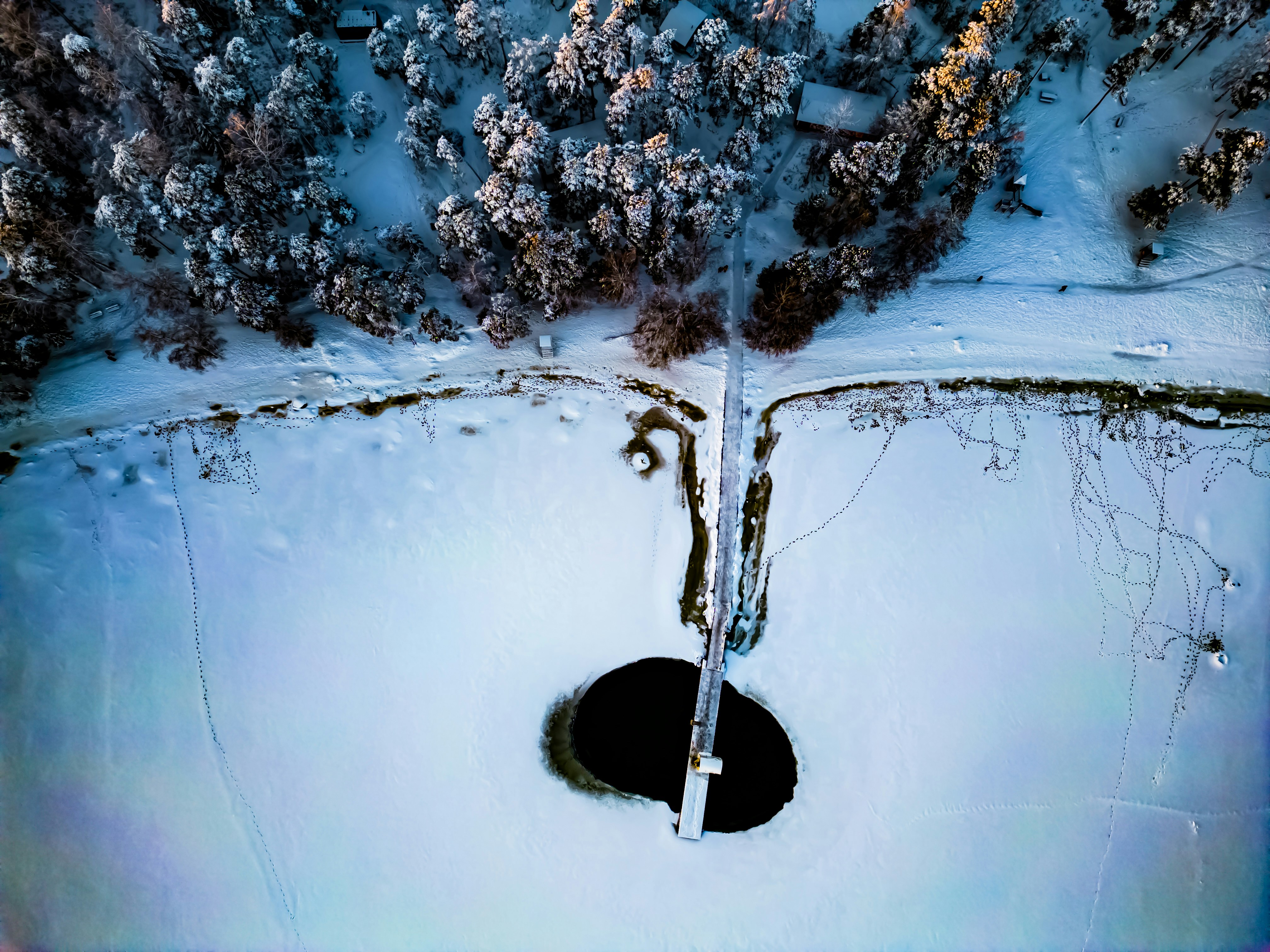 Luftaufnahme eines verschneiten Waldes