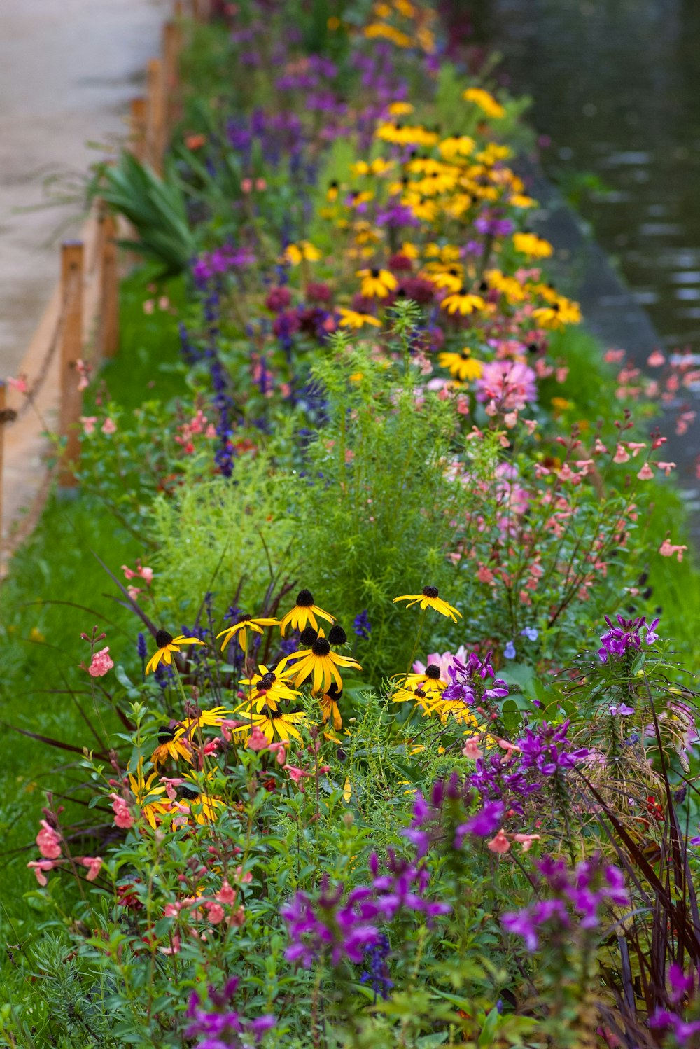 a row of colorful flowers next to a body of water