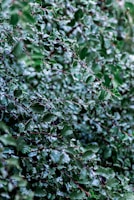 photo by Yoksel 🌿 Zok(https://unsplash.com/@yoksel?utm_source=templater_proxy&utm_medium=referral) on Unsplash