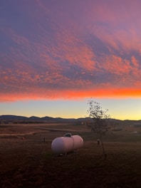 A friendly propane delivery technician unloading a tank in front of a cozy home at sunset.