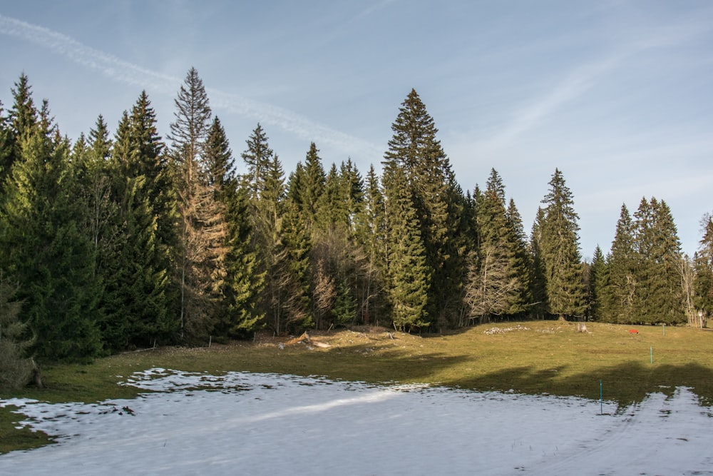 a snow covered field with trees in the background