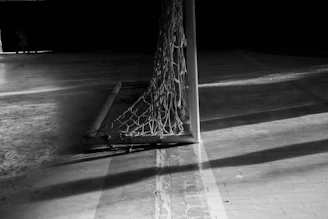 A stylized SVG graphic of a goal net rippling as the ball hits the back.