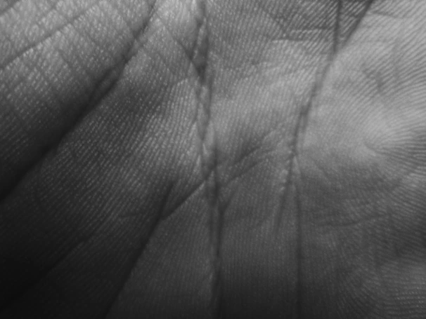A close-up of a palm reading session with delicate hands and detailed palm lines.