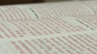 Close-up of the vintage reddybooki.com logo with pixelated edges.